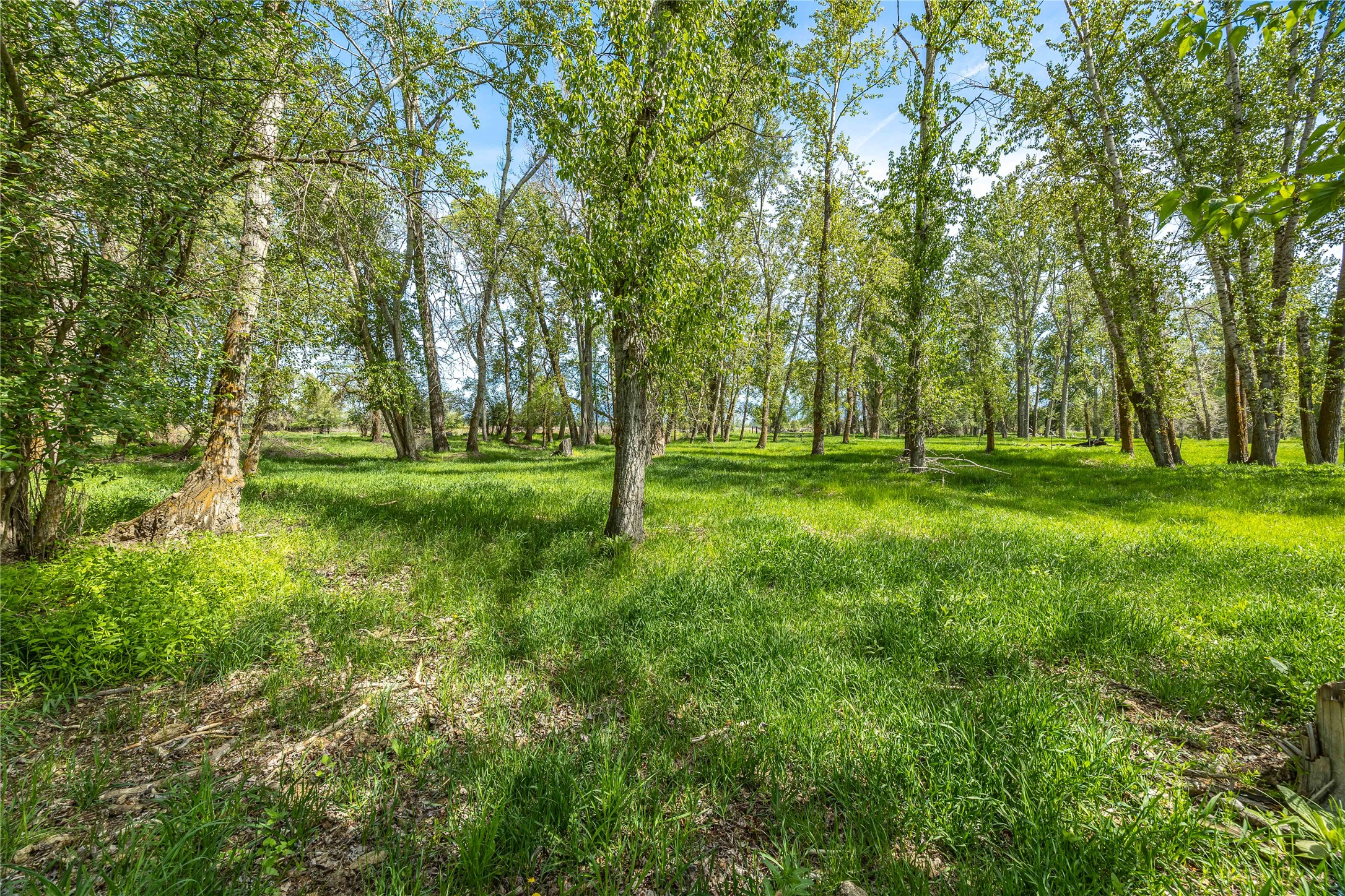 4700 Us Highway 93 S Property Photo 19