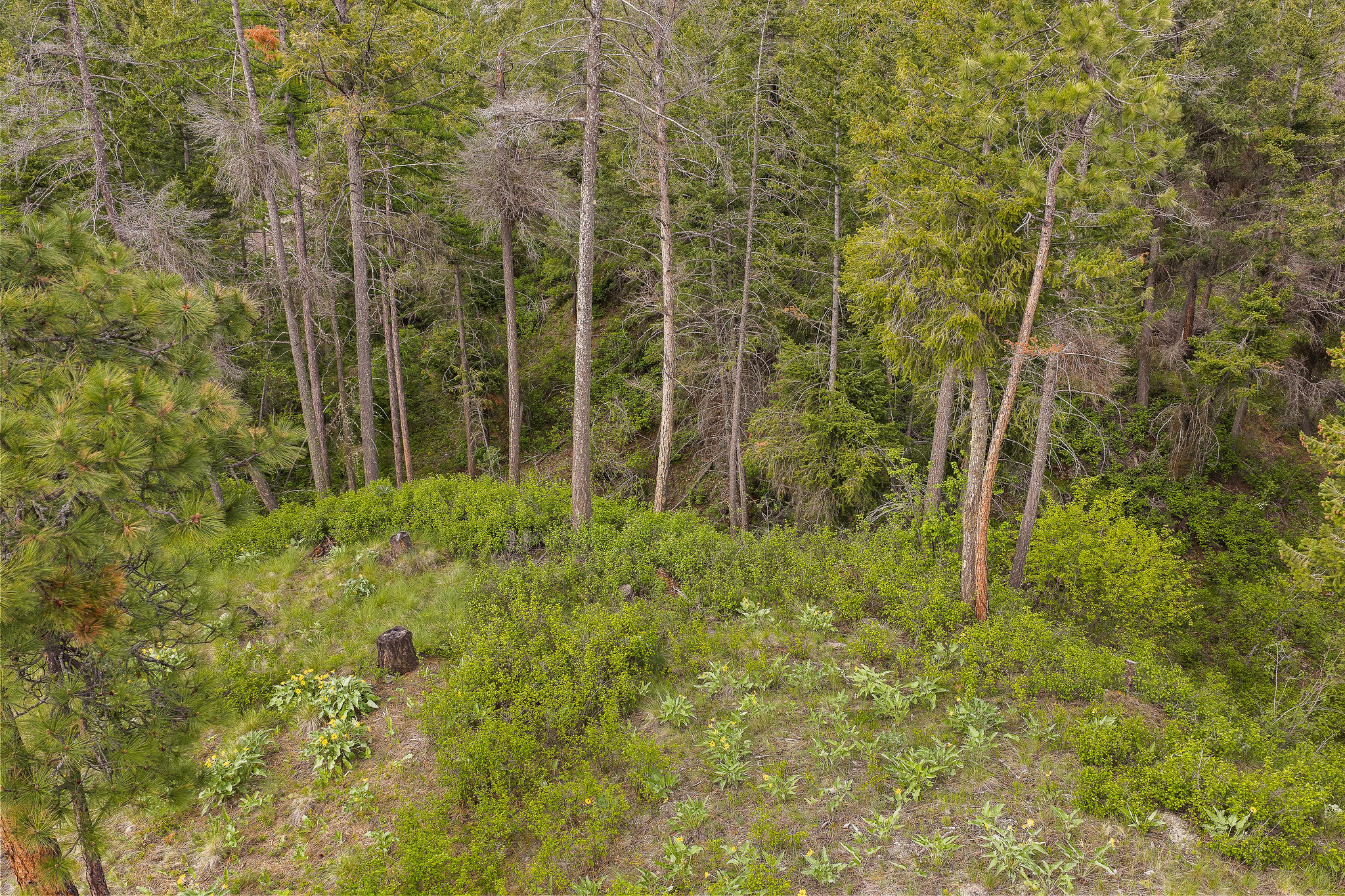 416 & 420 S Eighty Drive Property Photo 83