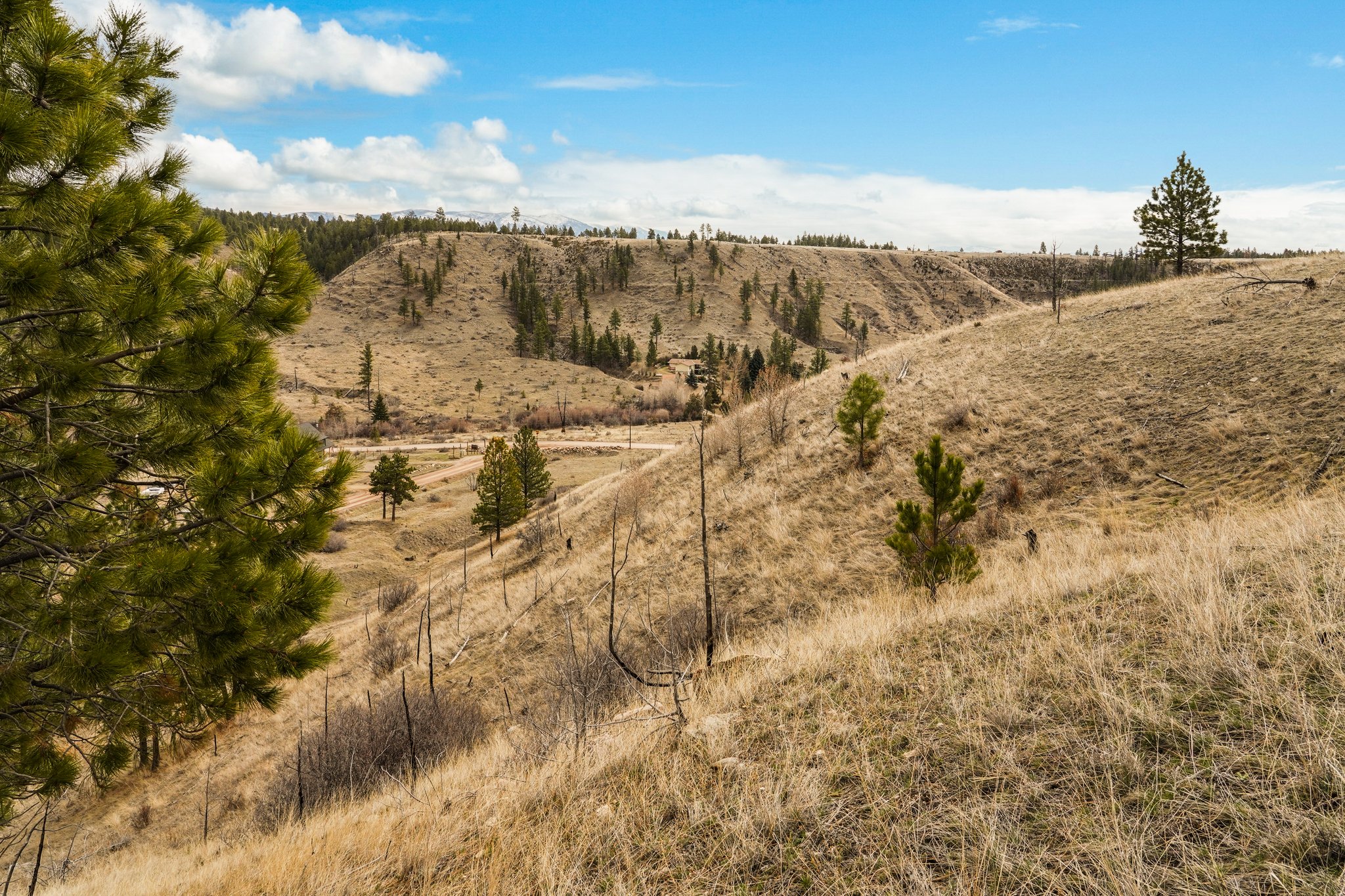 8545 Eagle View Road Property Photo 32