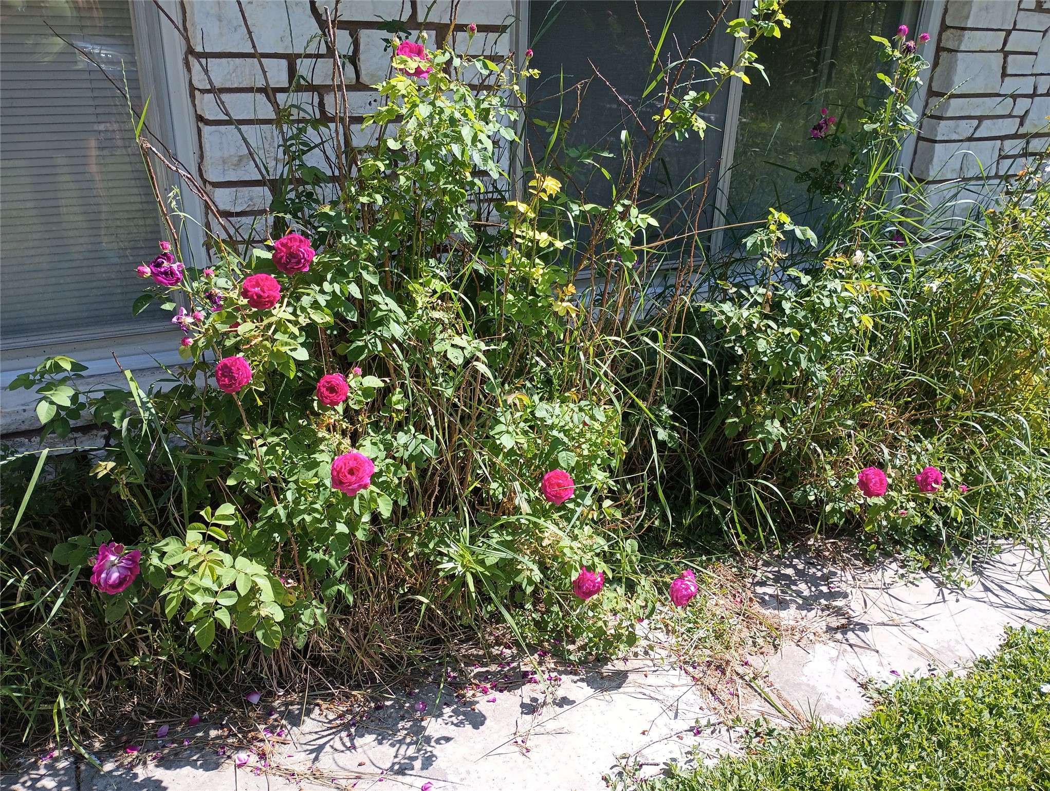 1785 Hodgson Road Property Photo 73