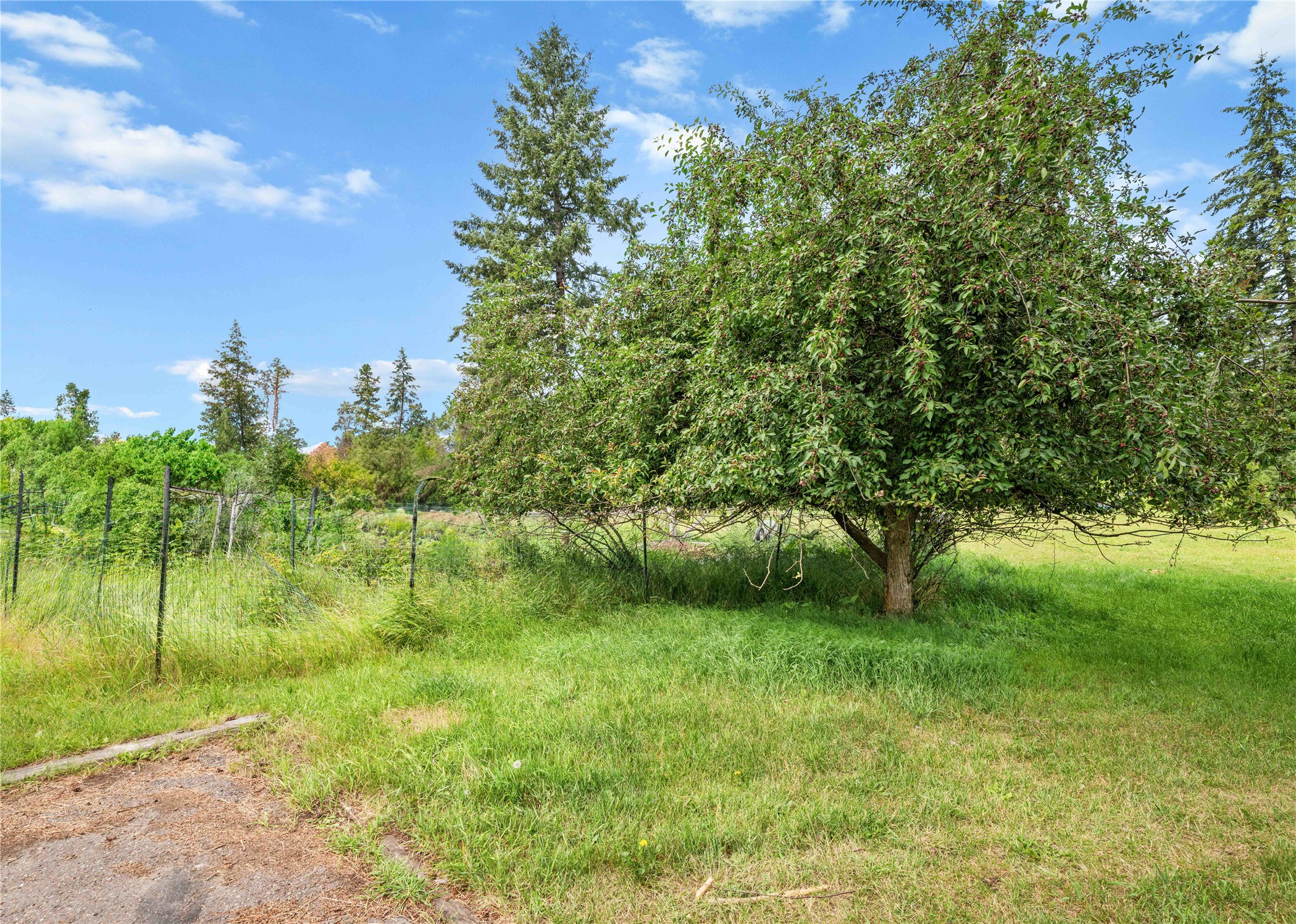 1785 Hodgson Road Property Photo 62