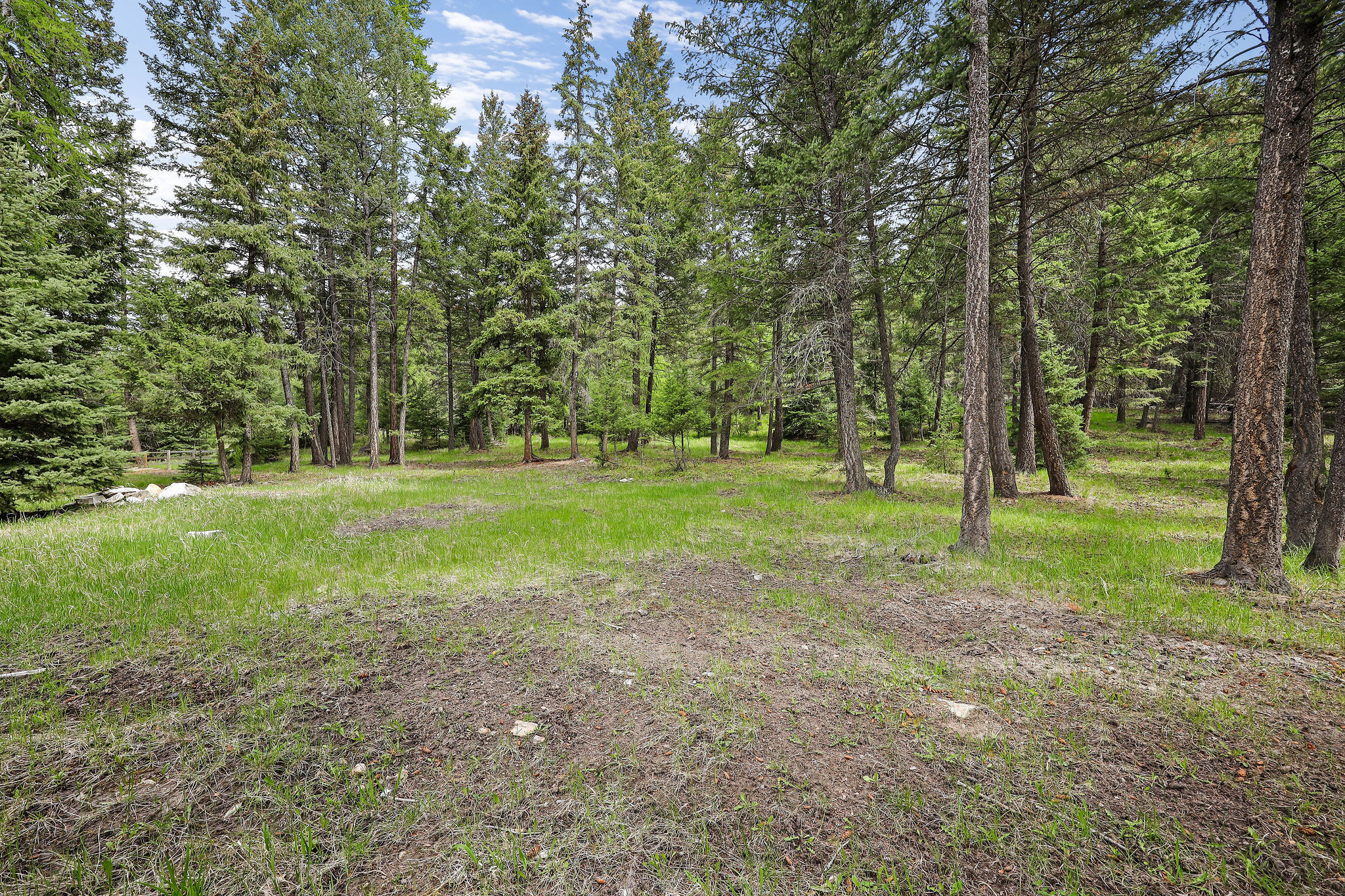 193 Bales Creek Trail Property Photo 56