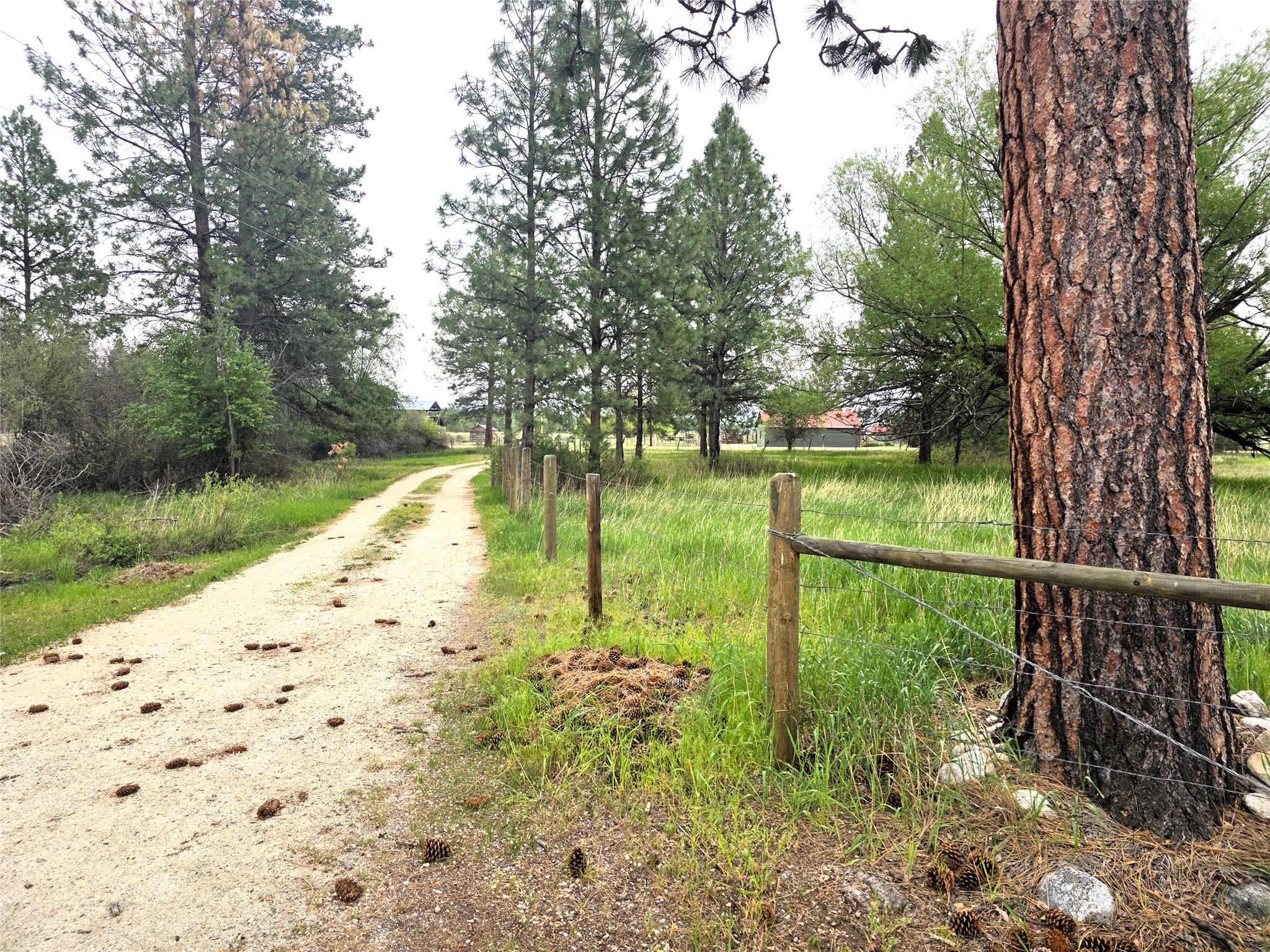 2037 Middle Bear Creek Road Property Photo 4