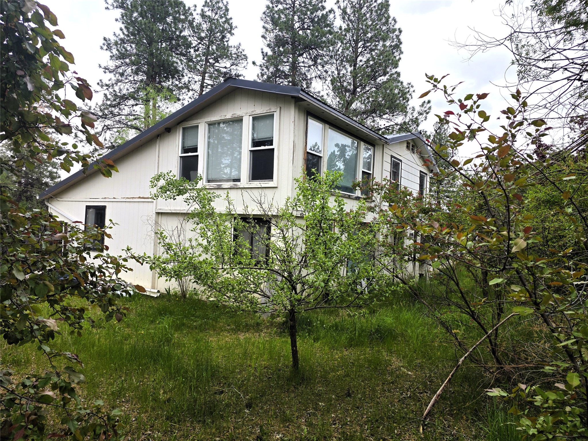 2037 Middle Bear Creek Road Property Photo 7