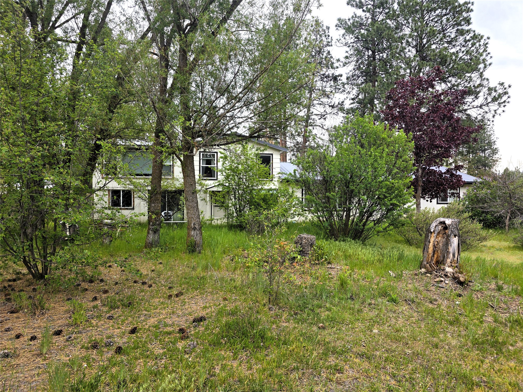 2037 Middle Bear Creek Road Property Photo 10