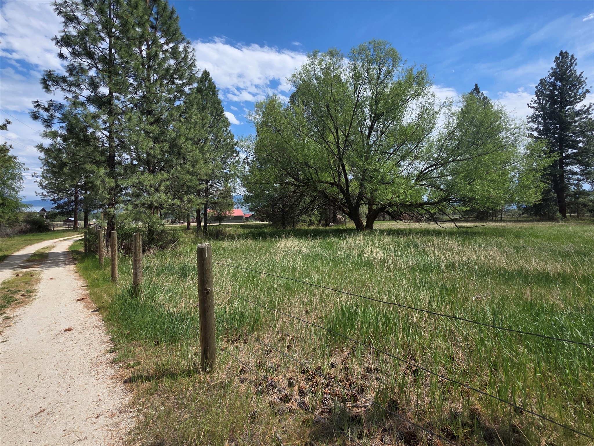 2037 Middle Bear Creek Road Property Photo 11
