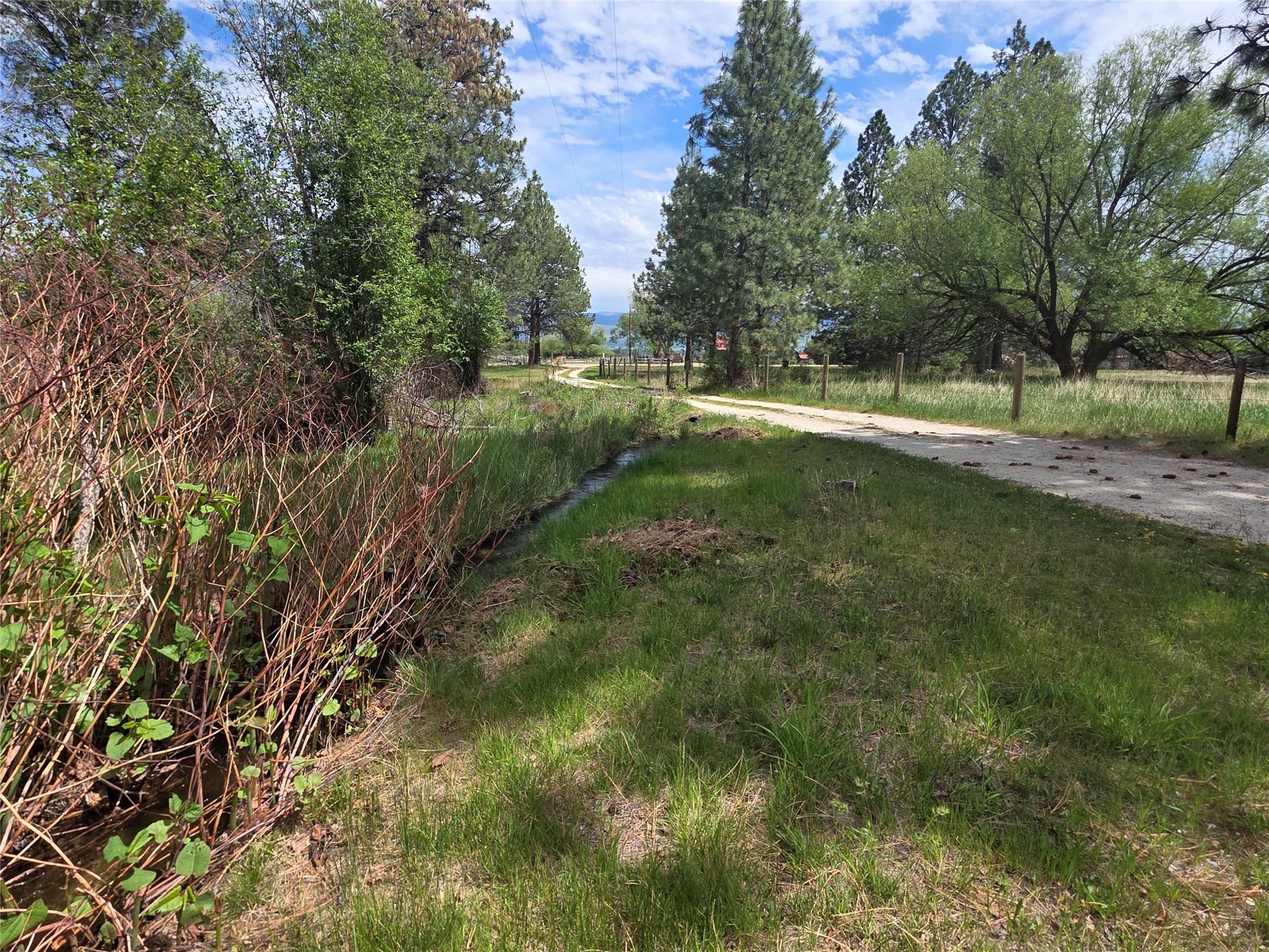 2037 Middle Bear Creek Road Property Photo 14