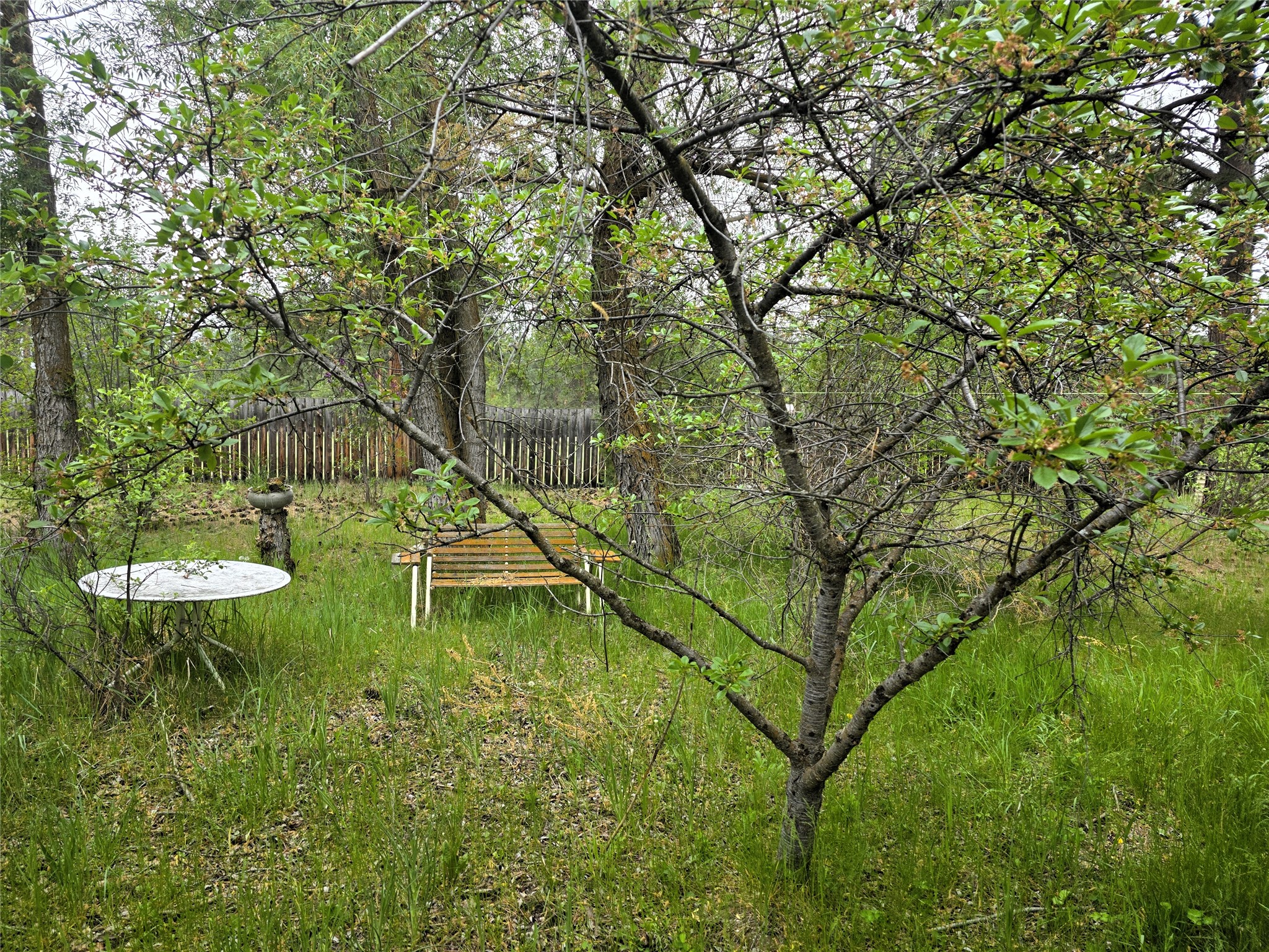 2037 Middle Bear Creek Road Property Photo 15