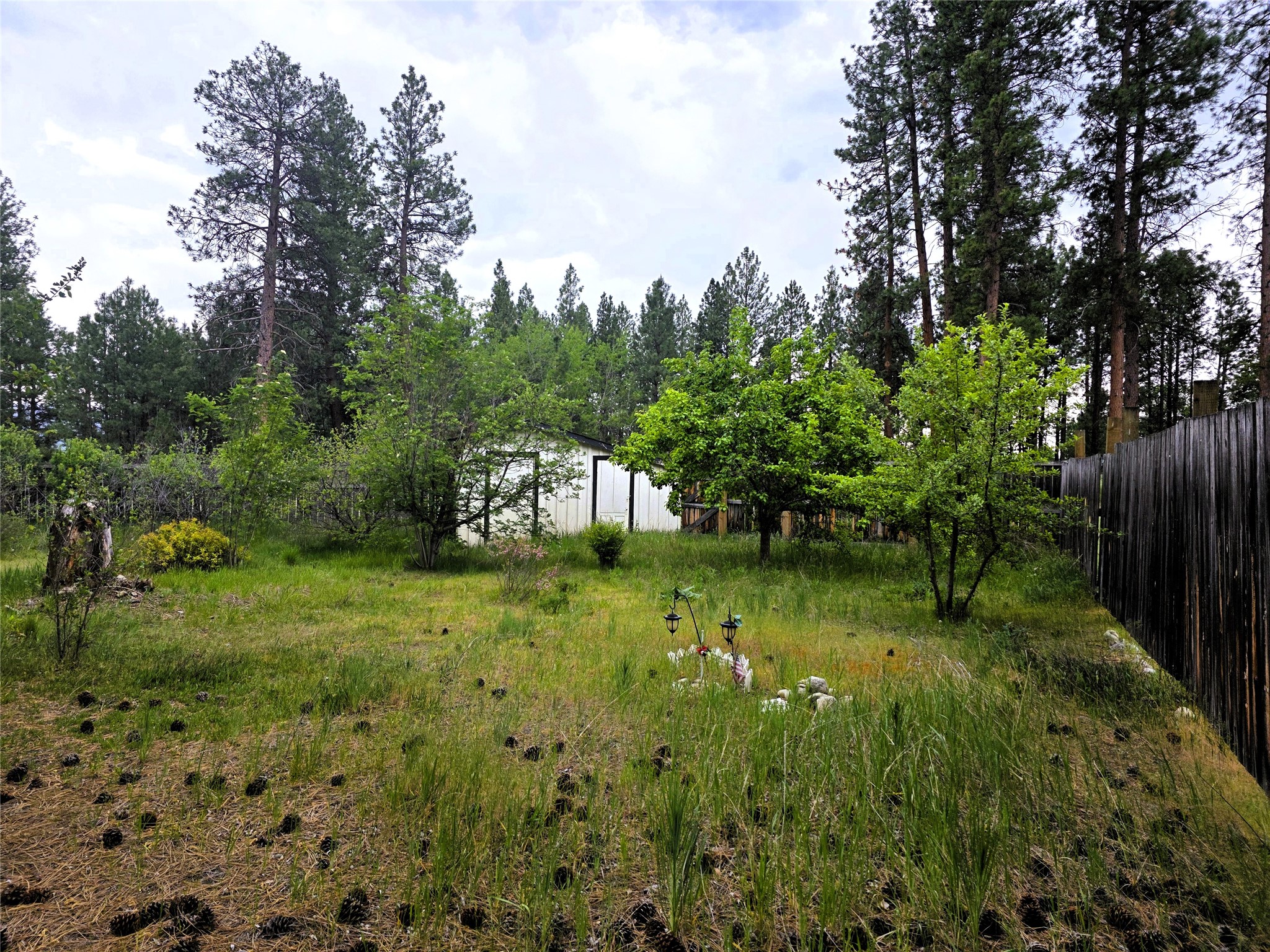 2037 Middle Bear Creek Road Property Photo 41