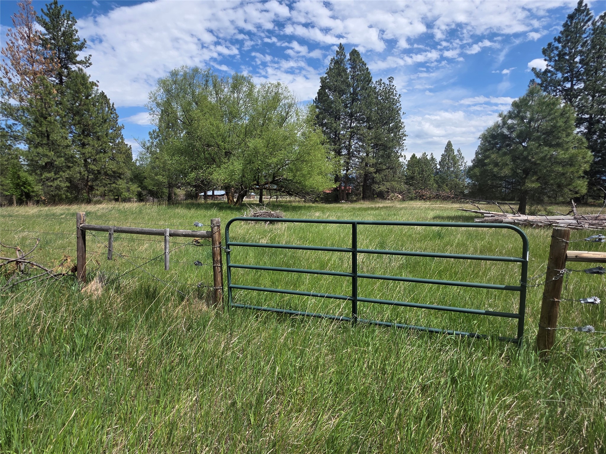 2037 Middle Bear Creek Road Property Photo 45