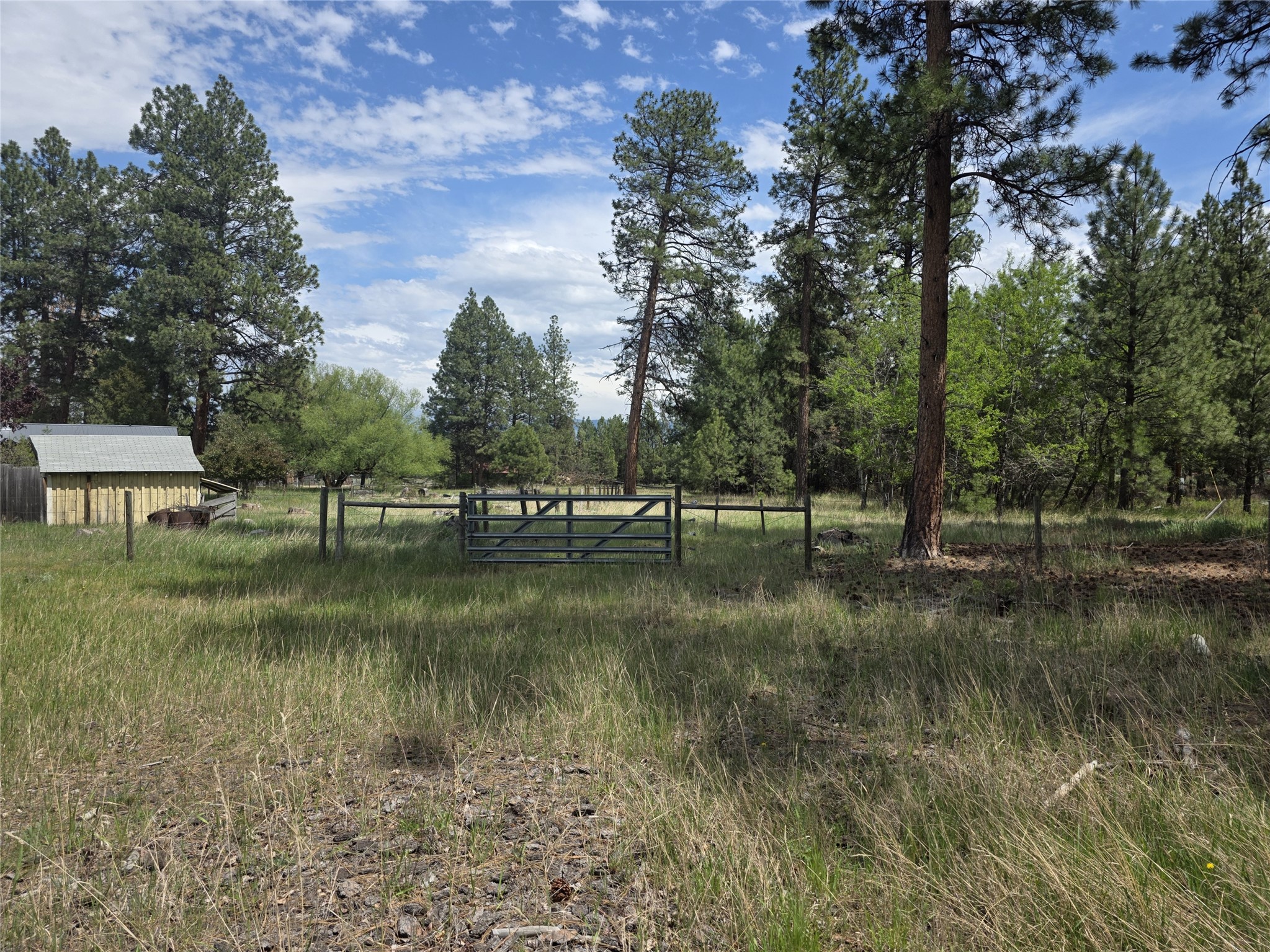2037 Middle Bear Creek Road Property Photo 48