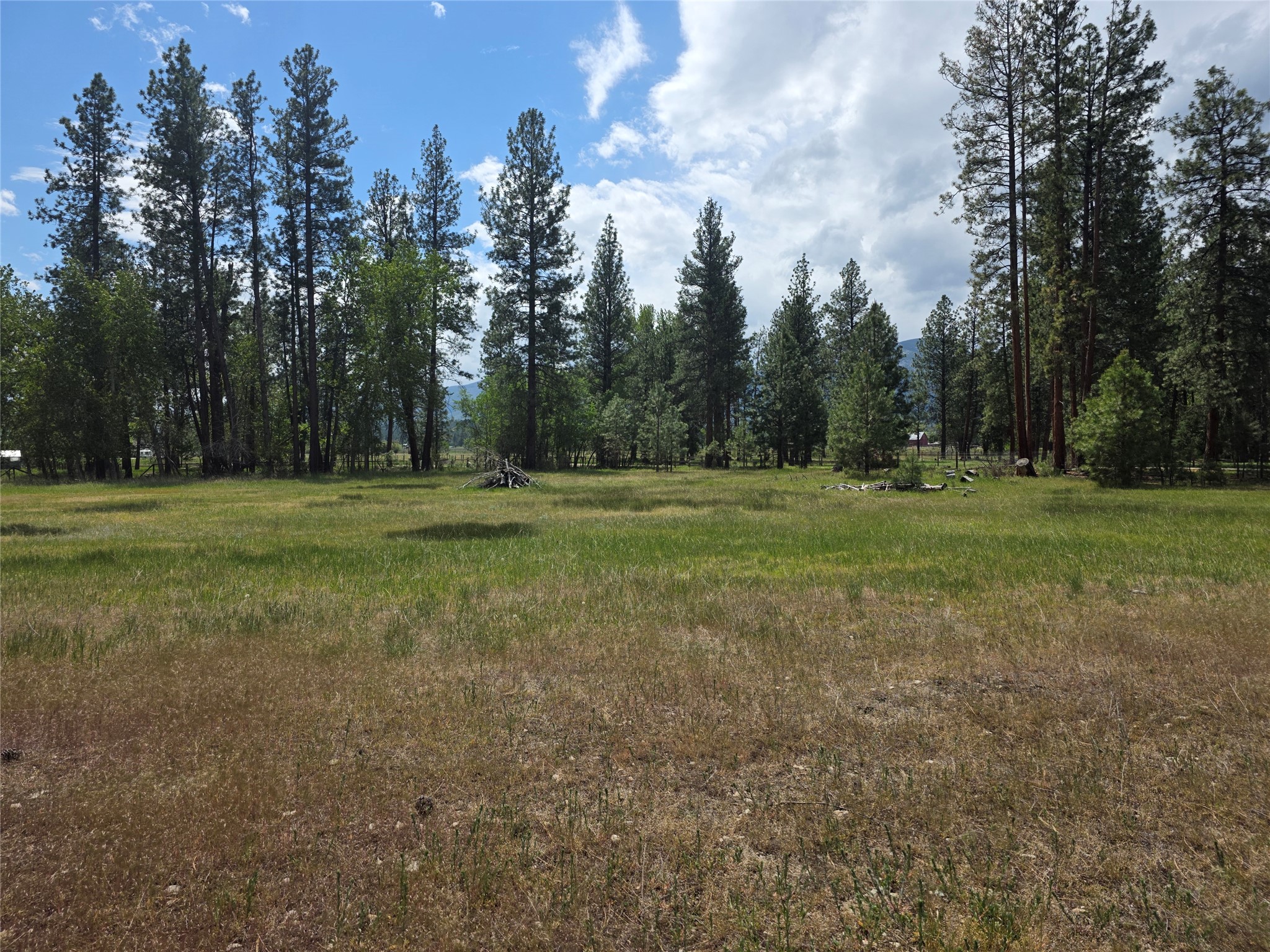 2037 Middle Bear Creek Road Property Photo 49