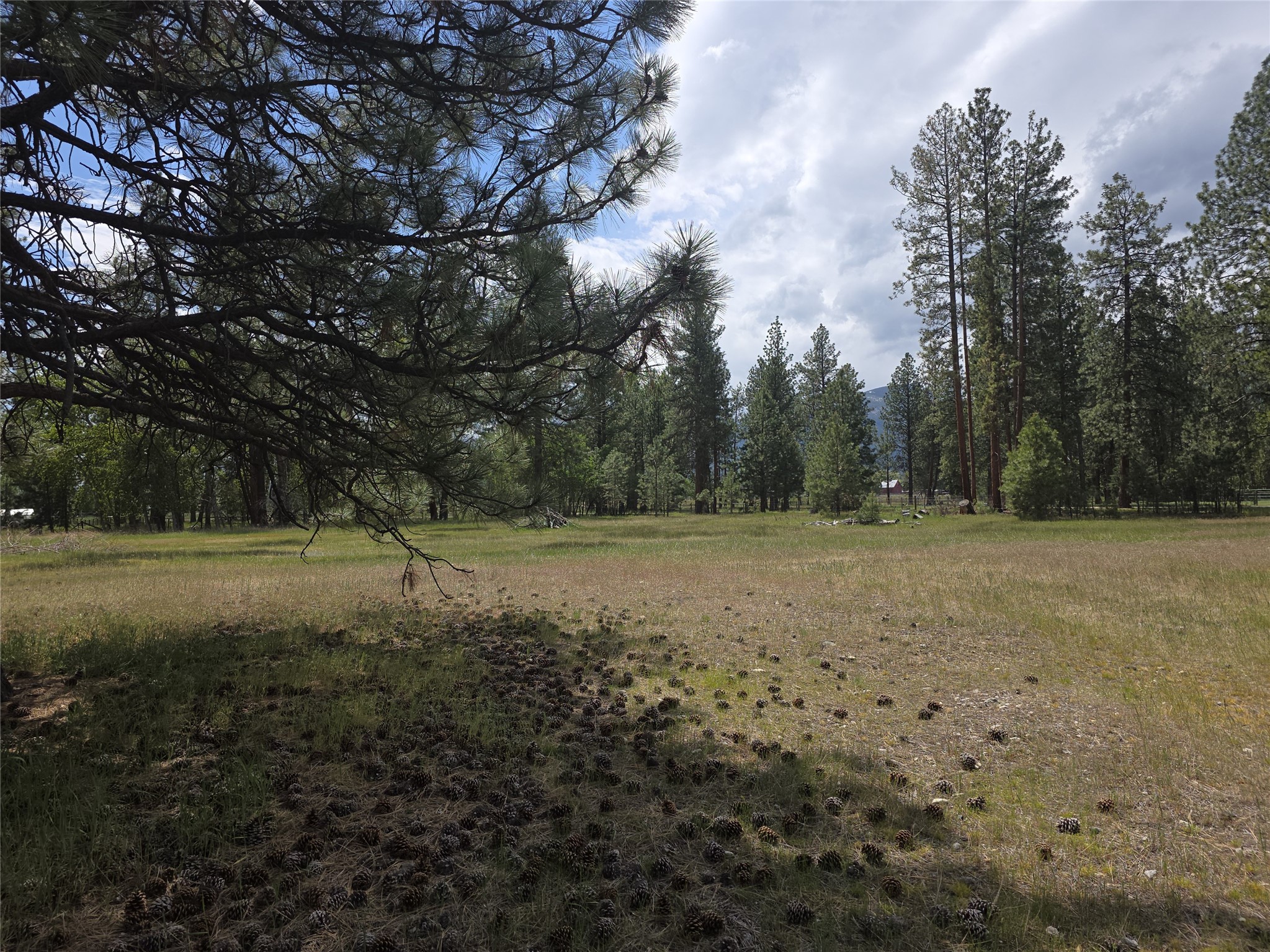 2037 Middle Bear Creek Road Property Photo 50