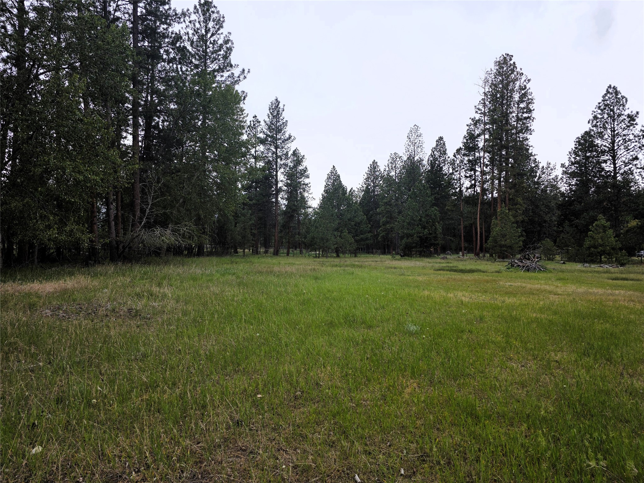 2037 Middle Bear Creek Road Property Photo 52