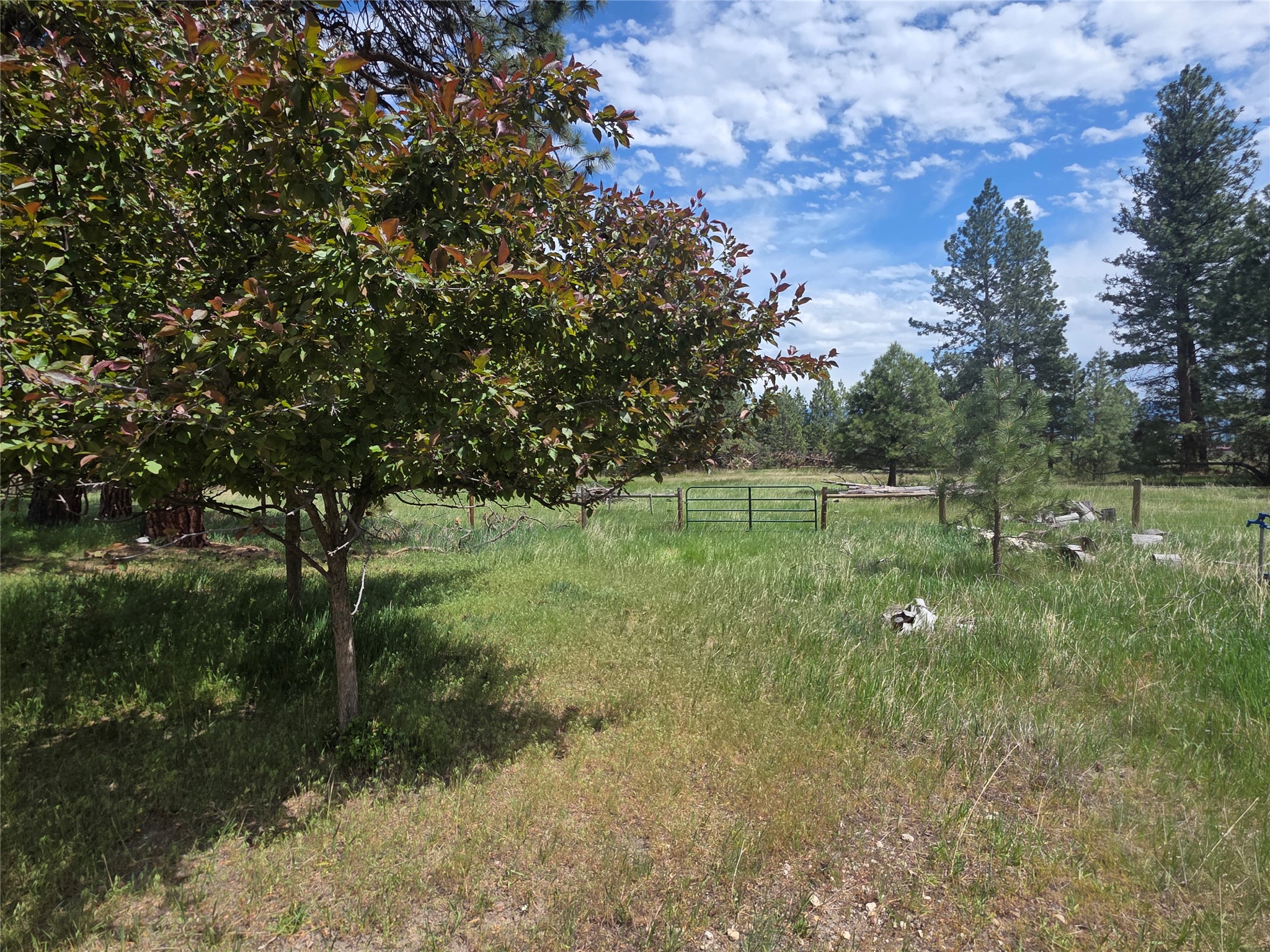 2037 Middle Bear Creek Road Property Photo 58