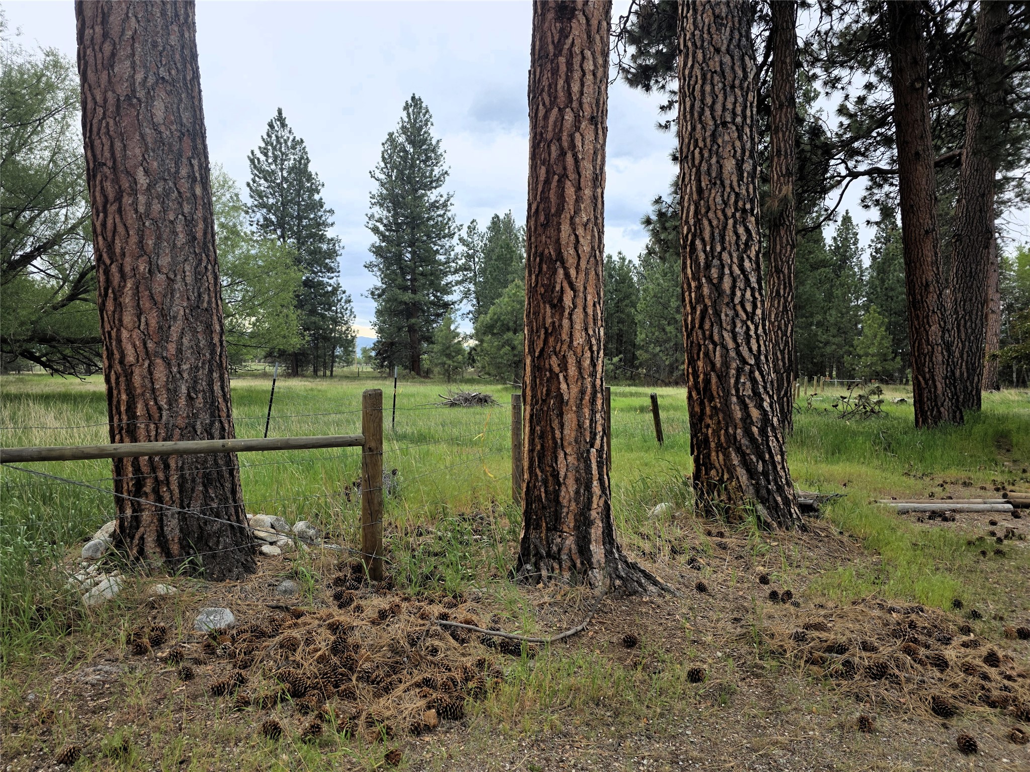 2037 Middle Bear Creek Road Property Photo 59