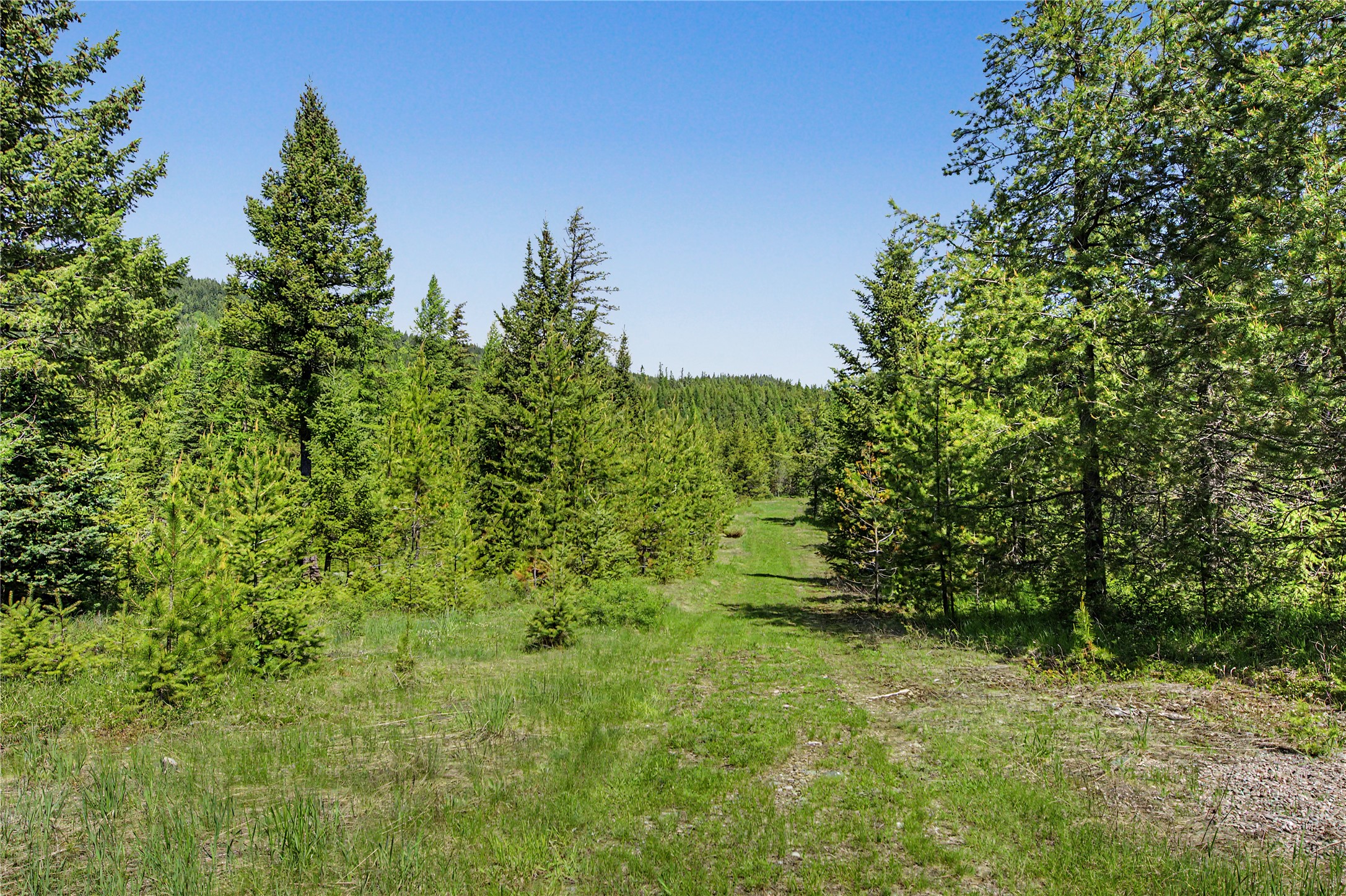 65 Soaring Eagle Way Property Photo 46