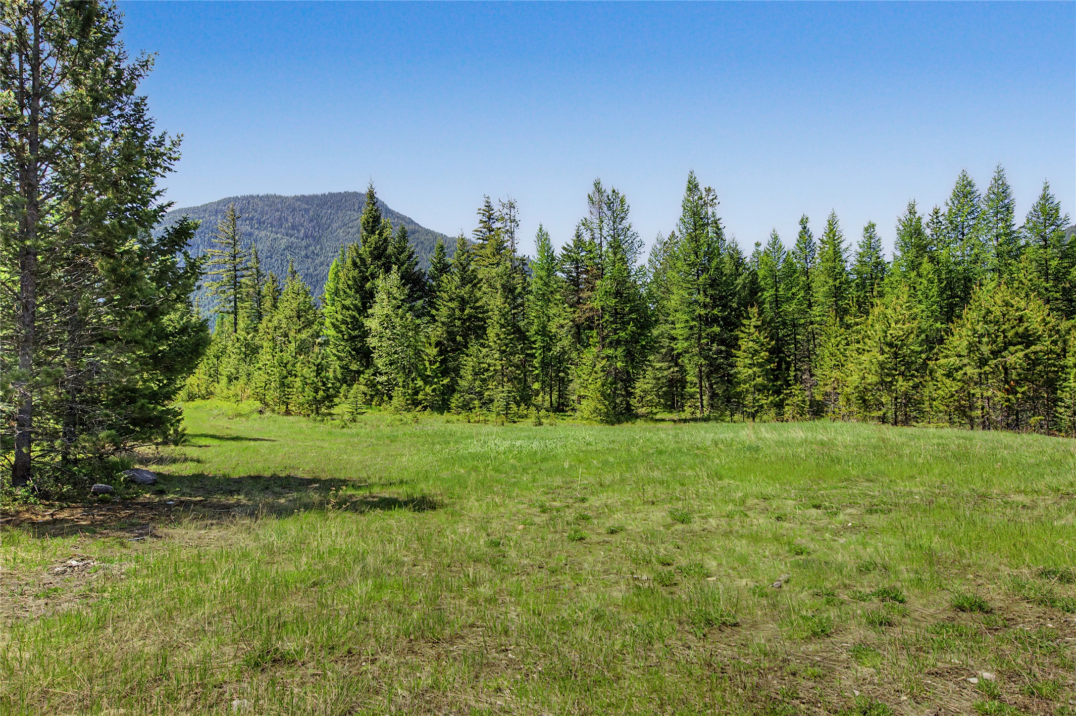 65 Soaring Eagle Way Property Photo 48