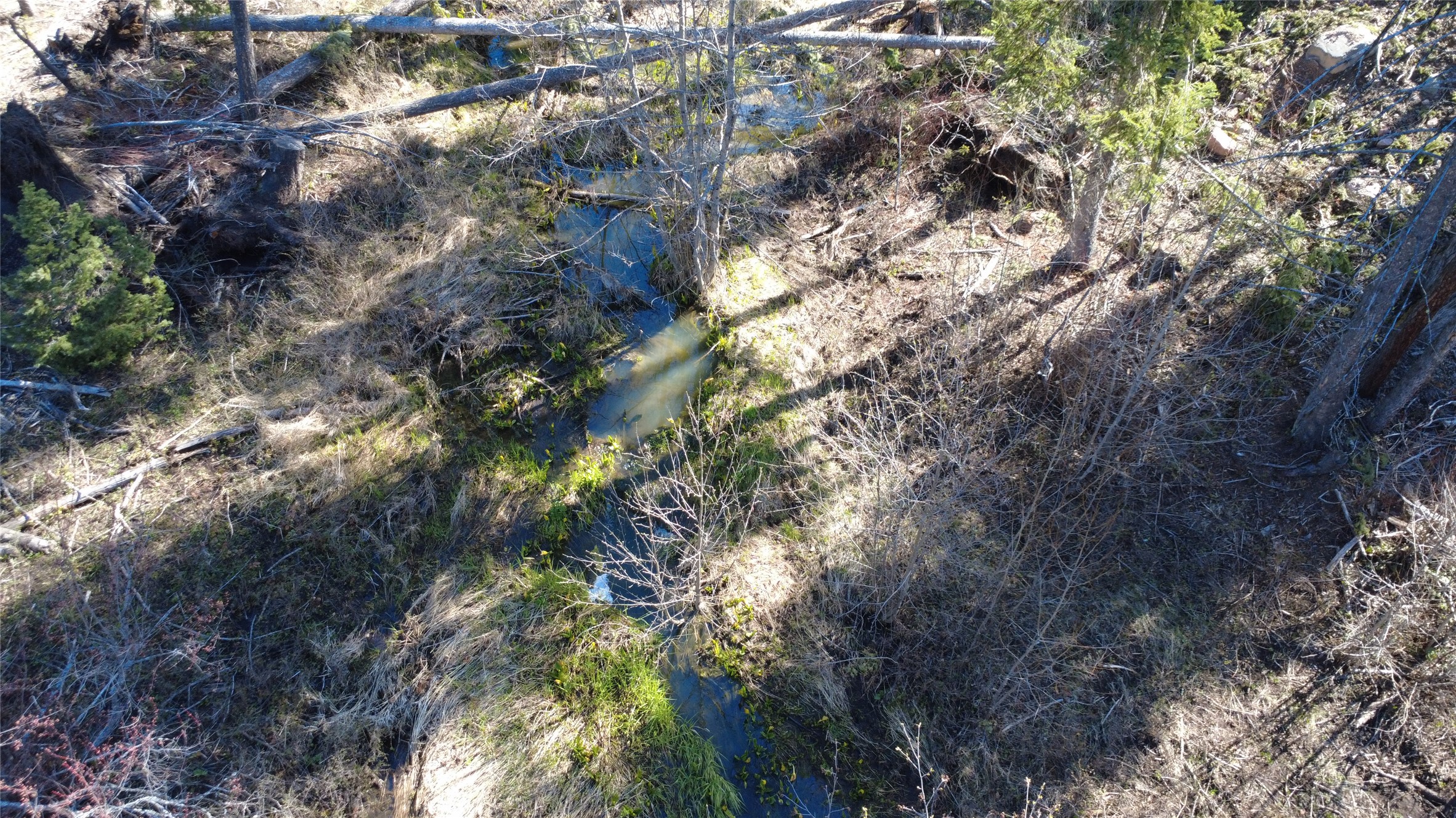 336 Old Barn Road Property Photo 1