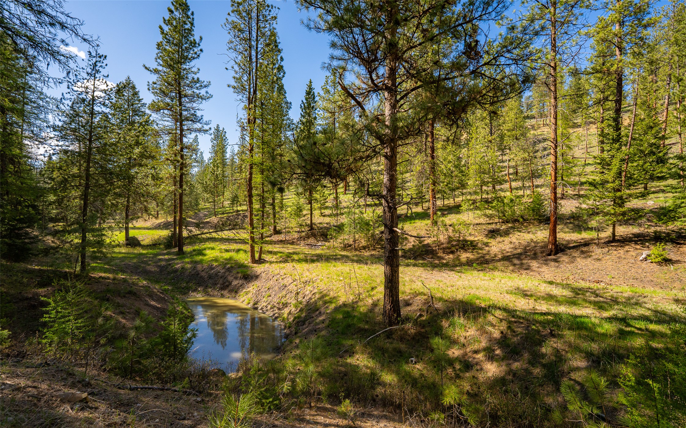 3605 Hubbart Dam Road Property Photo 3