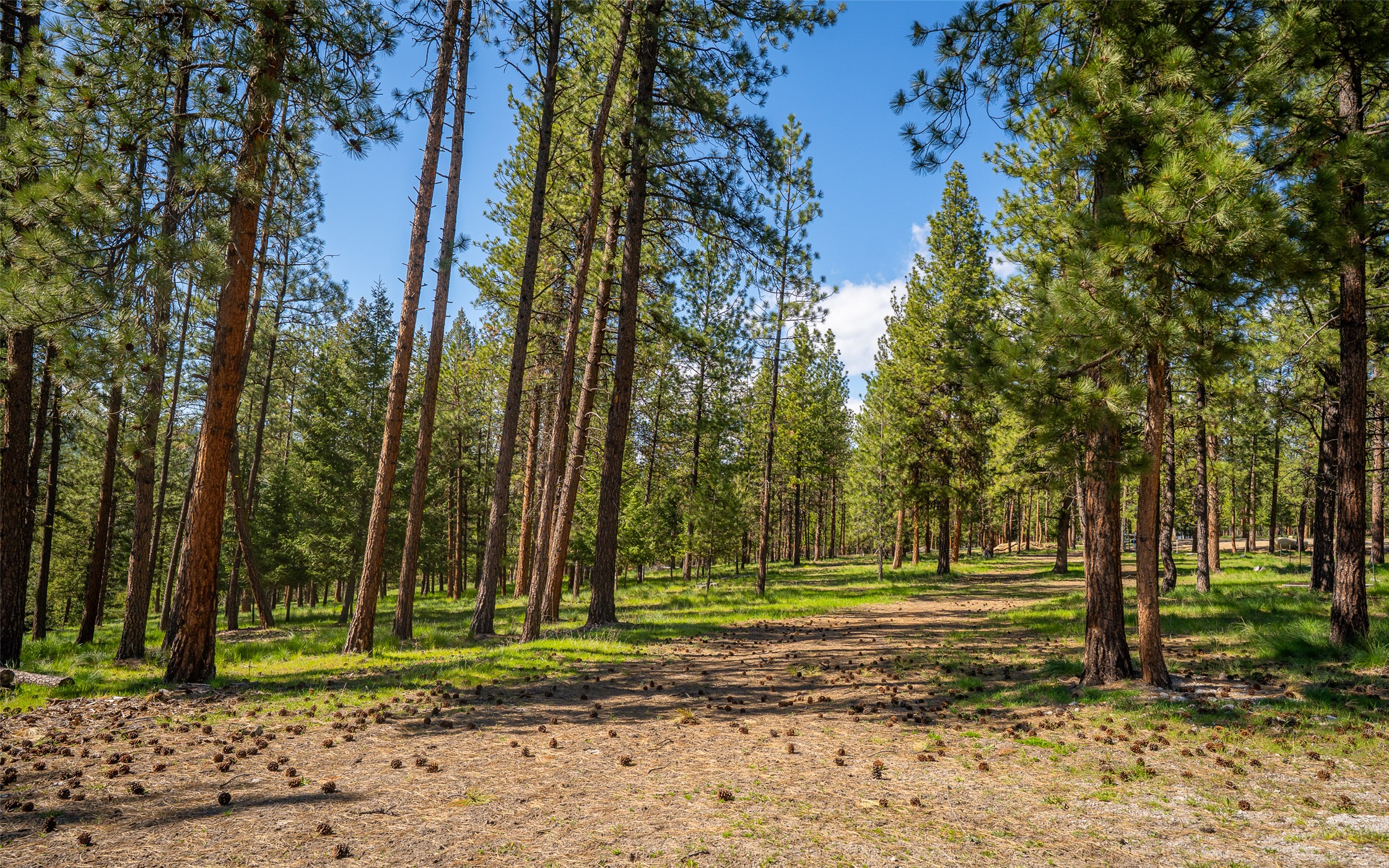 3605 Hubbart Dam Road Property Photo 7