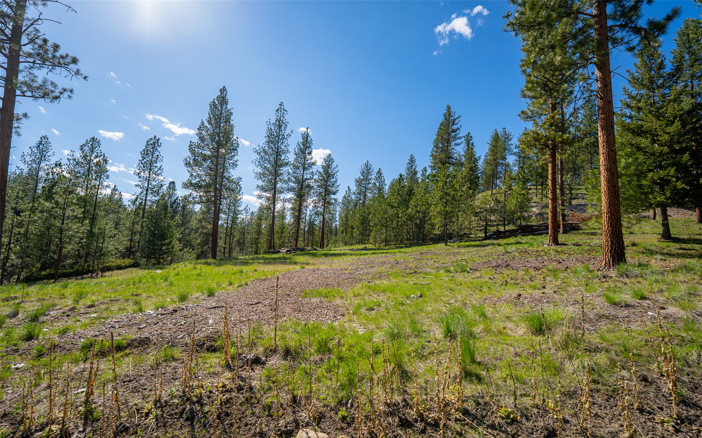 3605 Hubbart Dam Road Property Photo 8