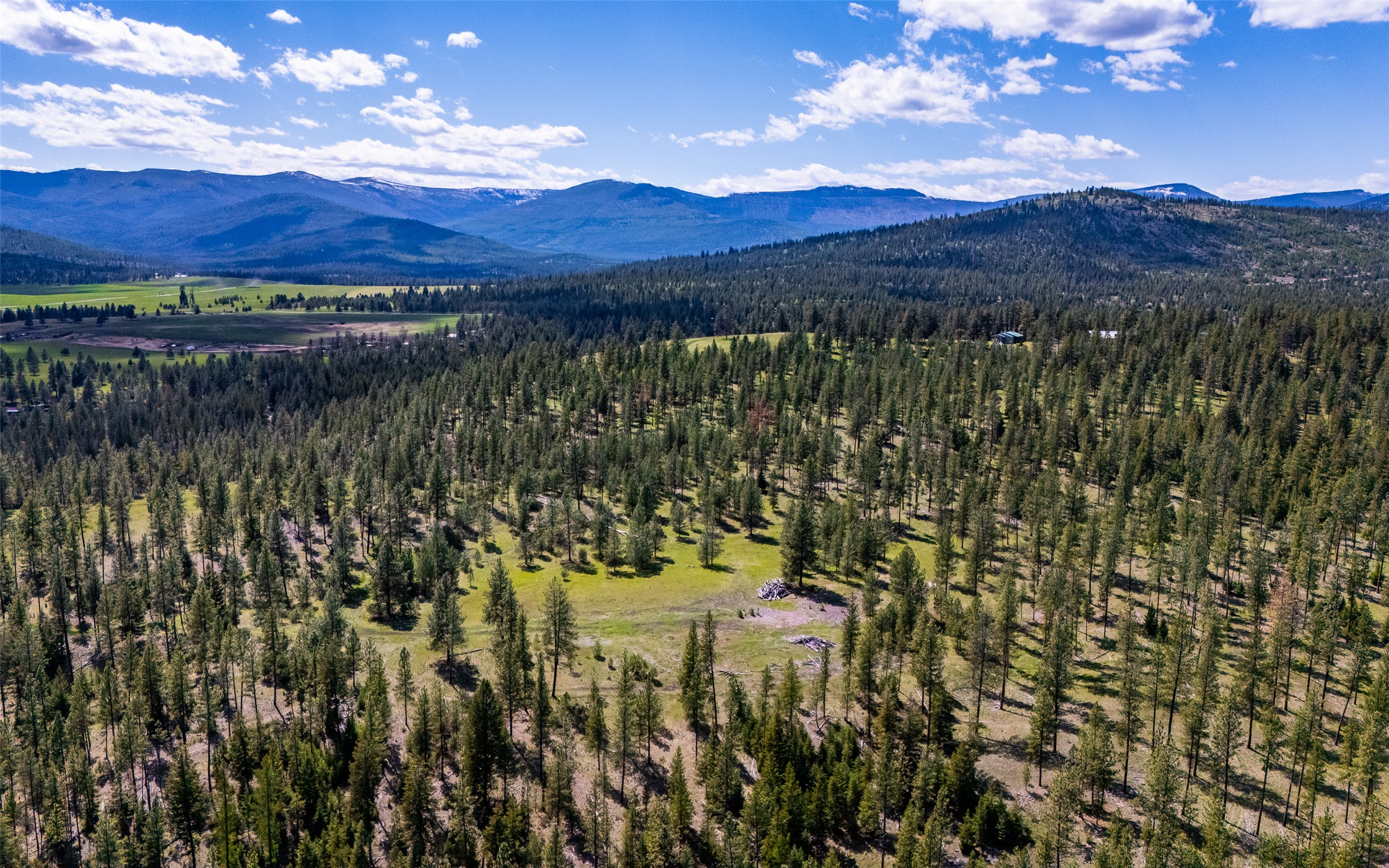 3605 Hubbart Dam Road Property Photo 13