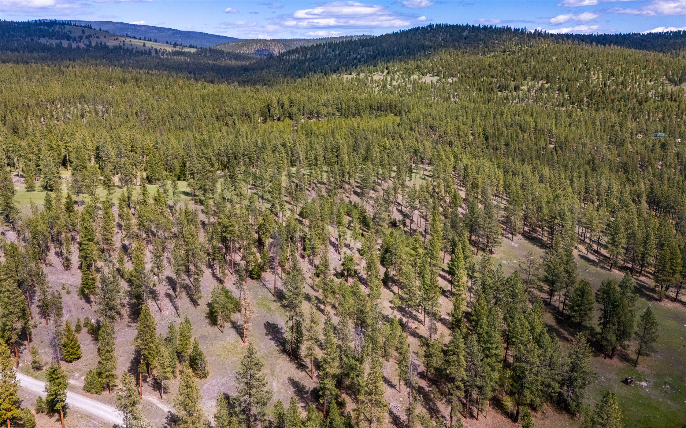 3605 Hubbart Dam Road Property Photo 15