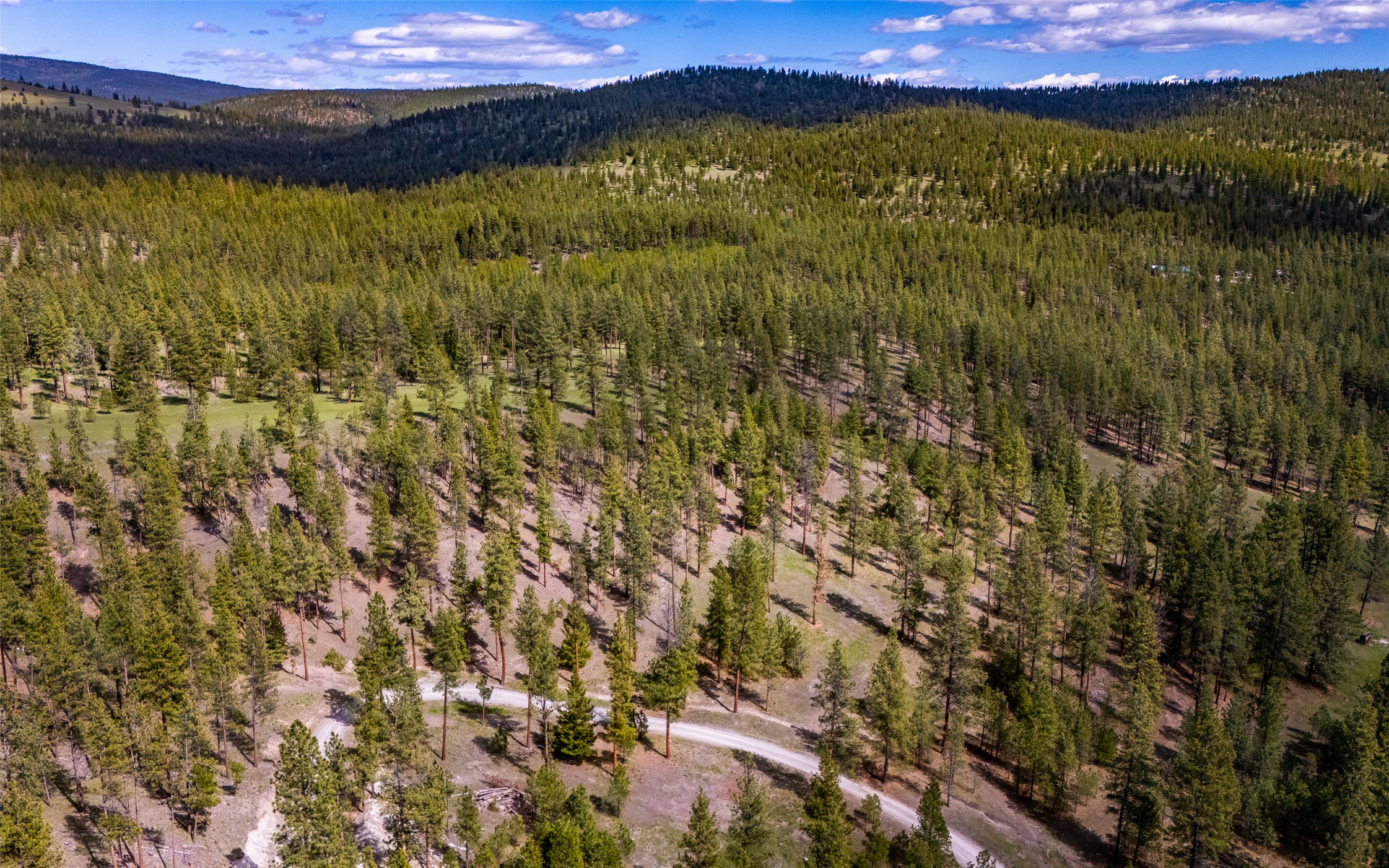 3605 Hubbart Dam Road Property Photo 16