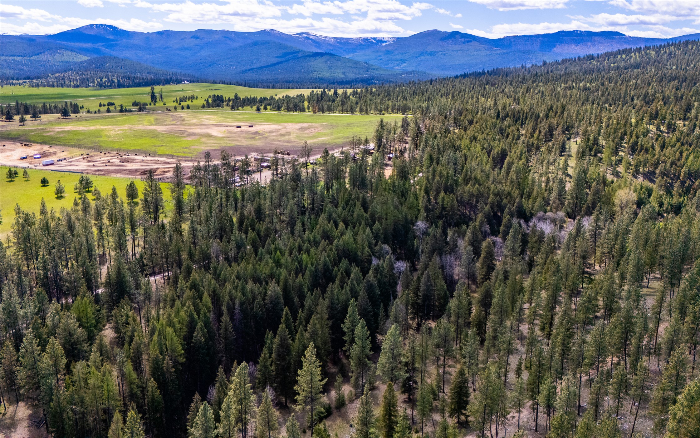 3605 Hubbart Dam Road Property Photo 17