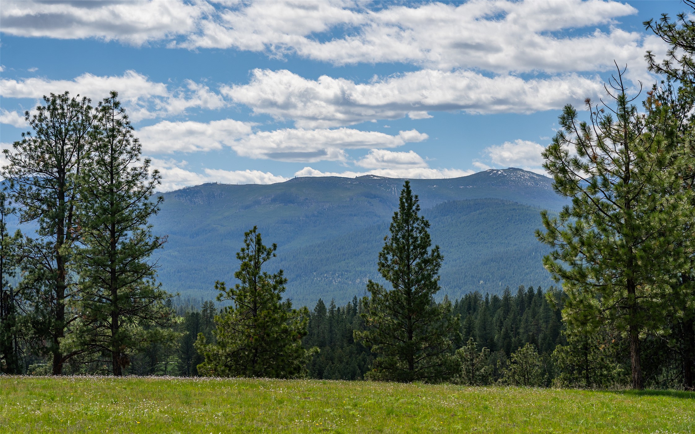 3605 Hubbart Dam Road Property Photo 19