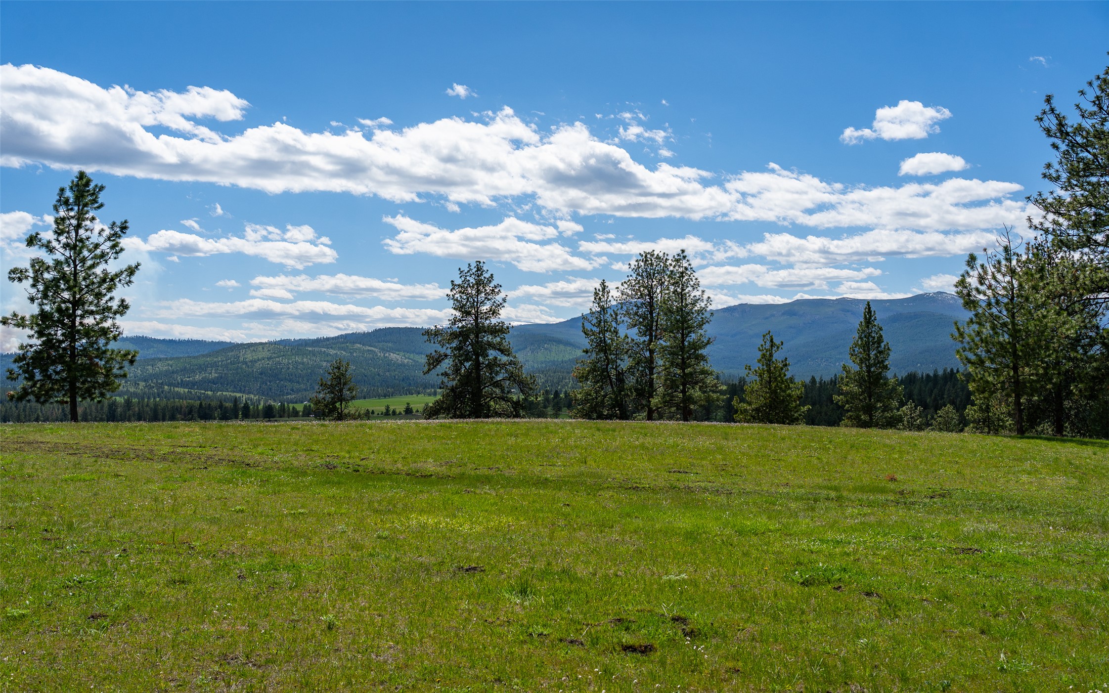 3605 Hubbart Dam Road Property Photo 21