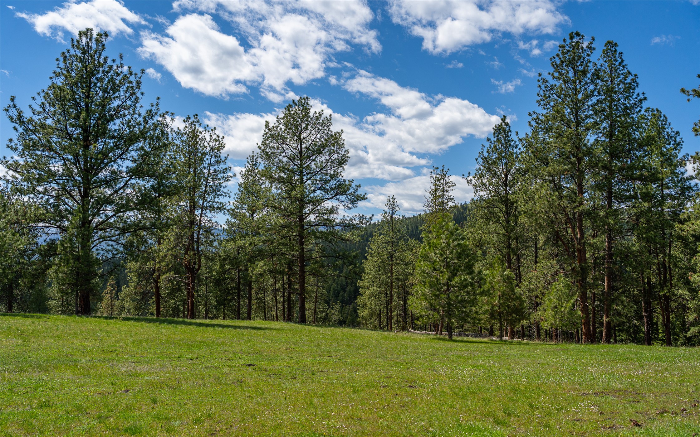 3605 Hubbart Dam Road Property Photo 22