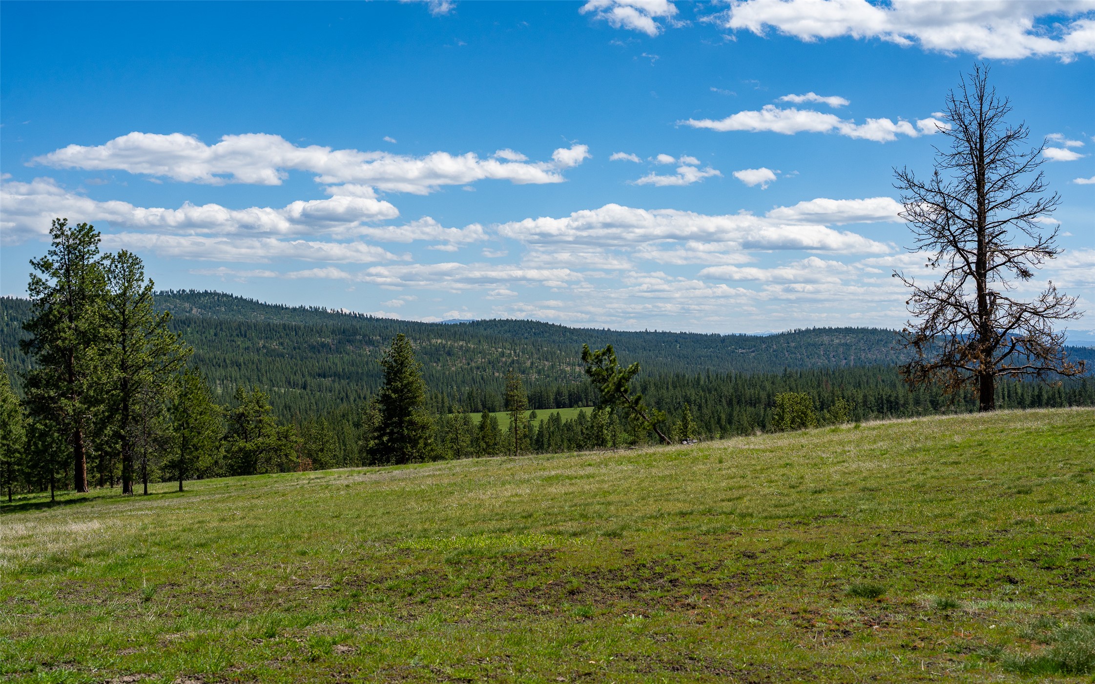 3605 Hubbart Dam Road Property Photo 23
