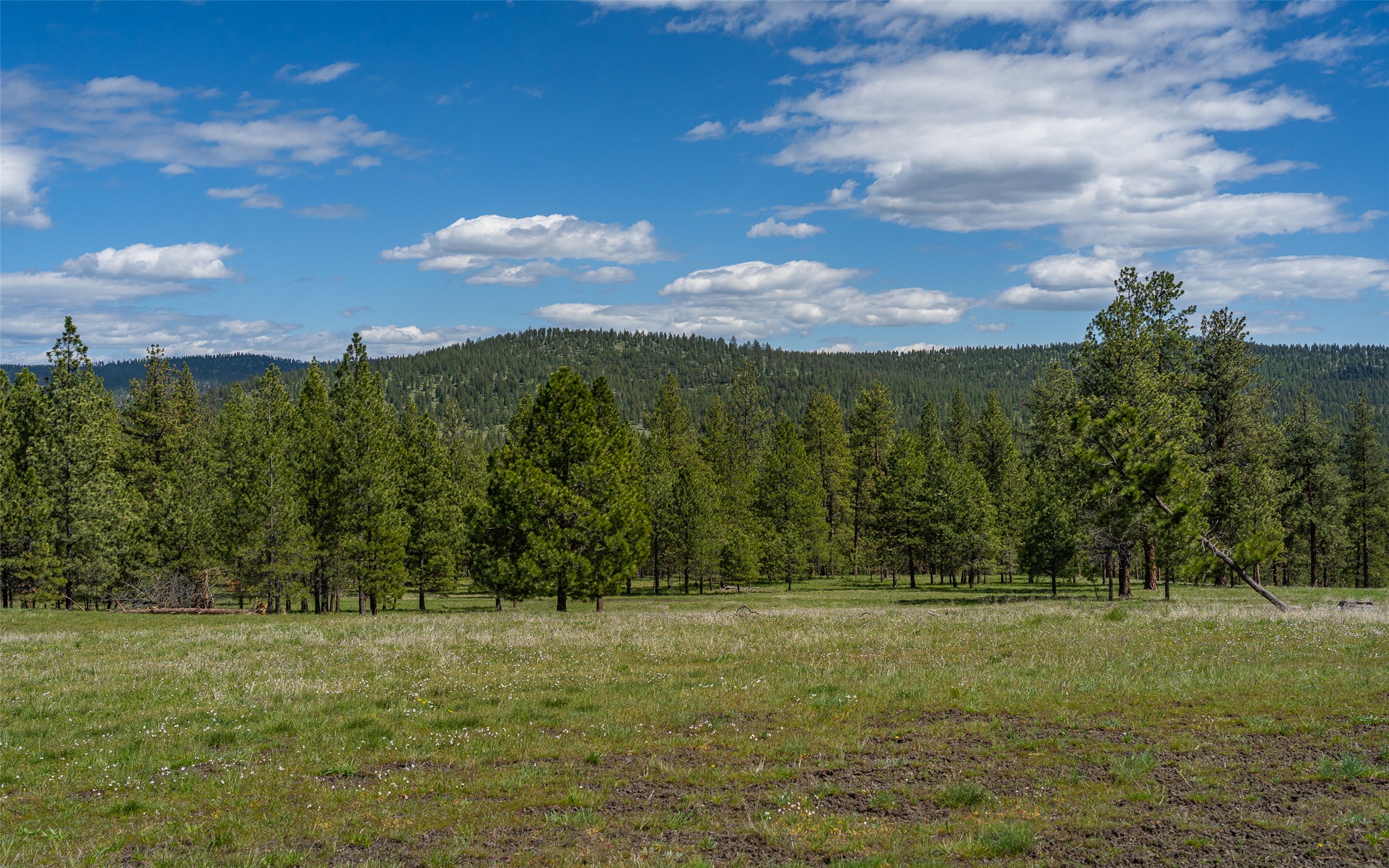 3605 Hubbart Dam Road Property Photo 25