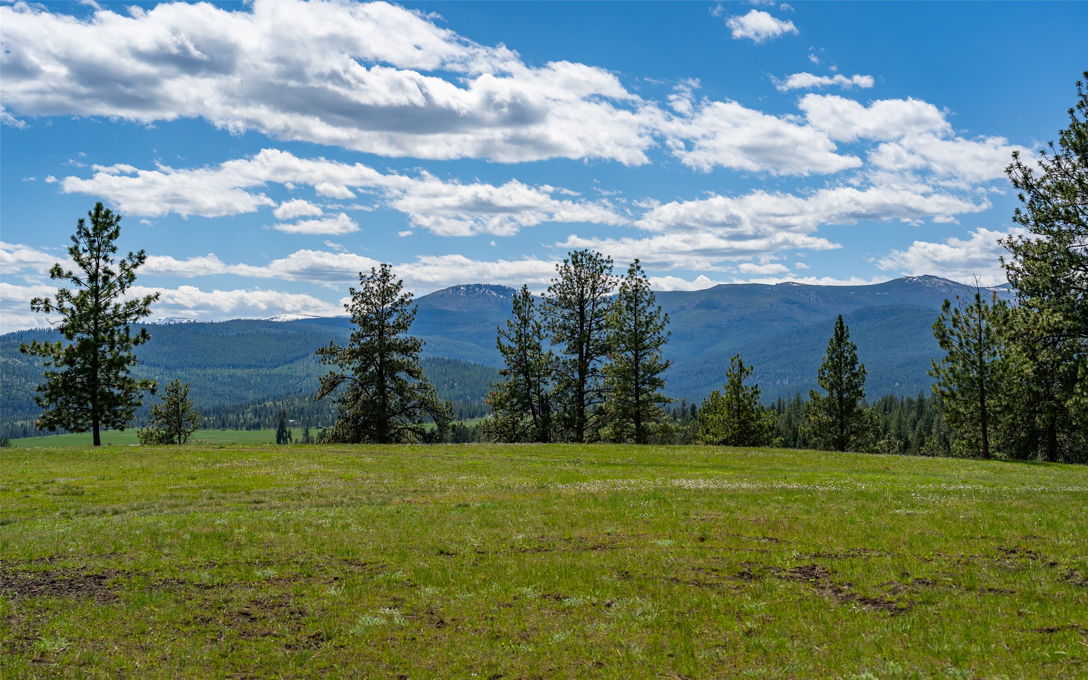 3605 Hubbart Dam Road Property Photo 27
