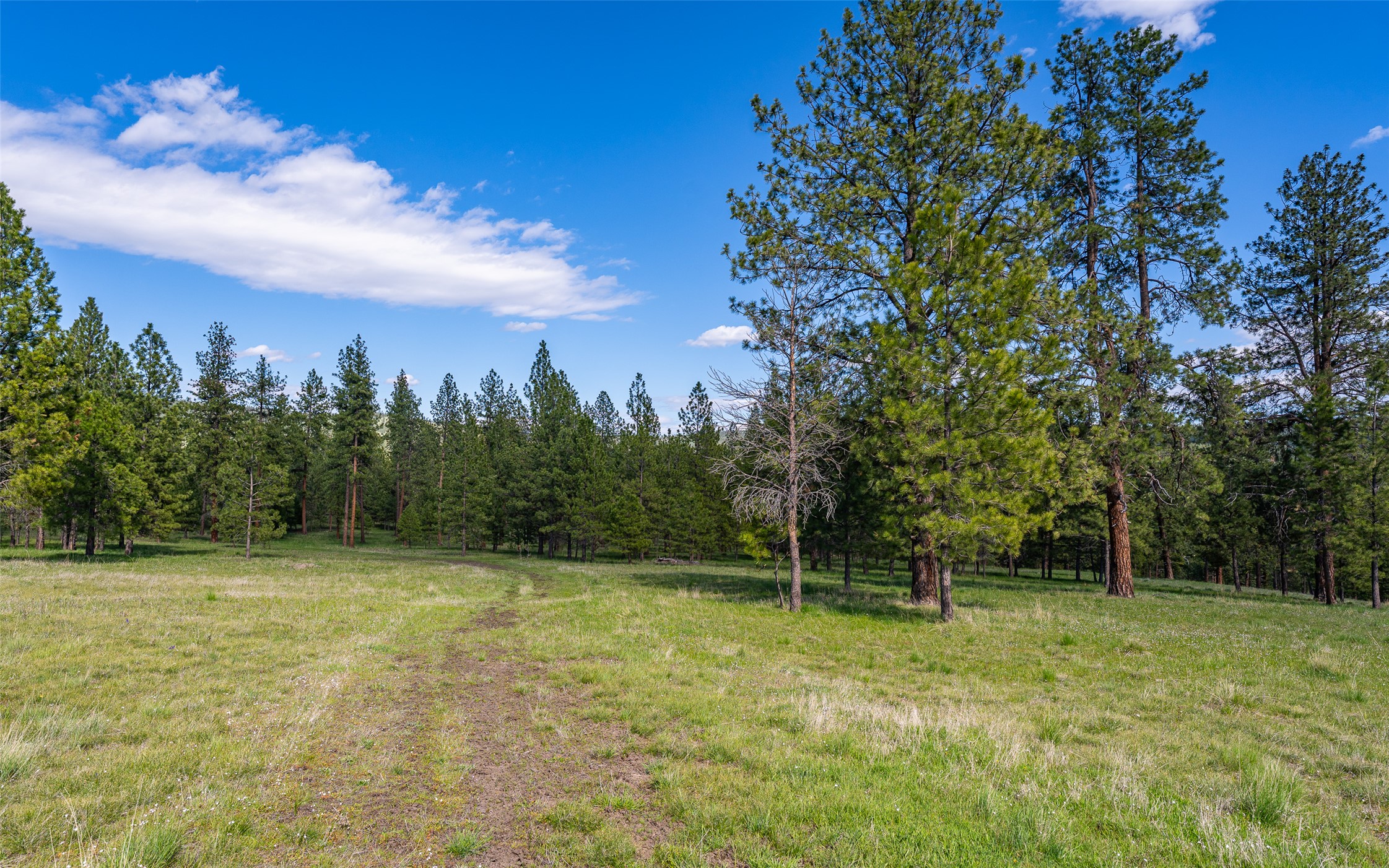 3605 Hubbart Dam Road Property Photo 35