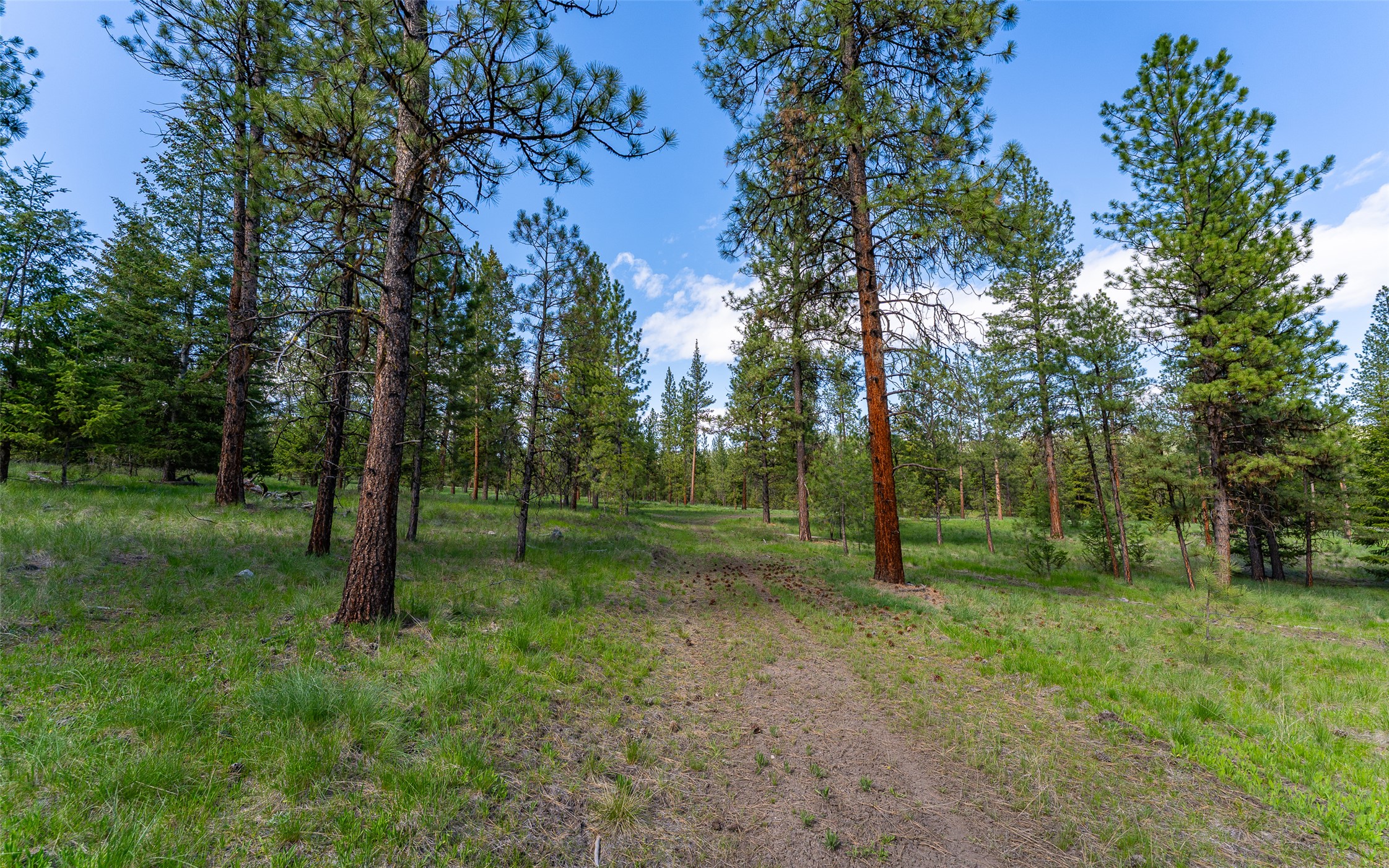 3605 Hubbart Dam Road Property Photo 36
