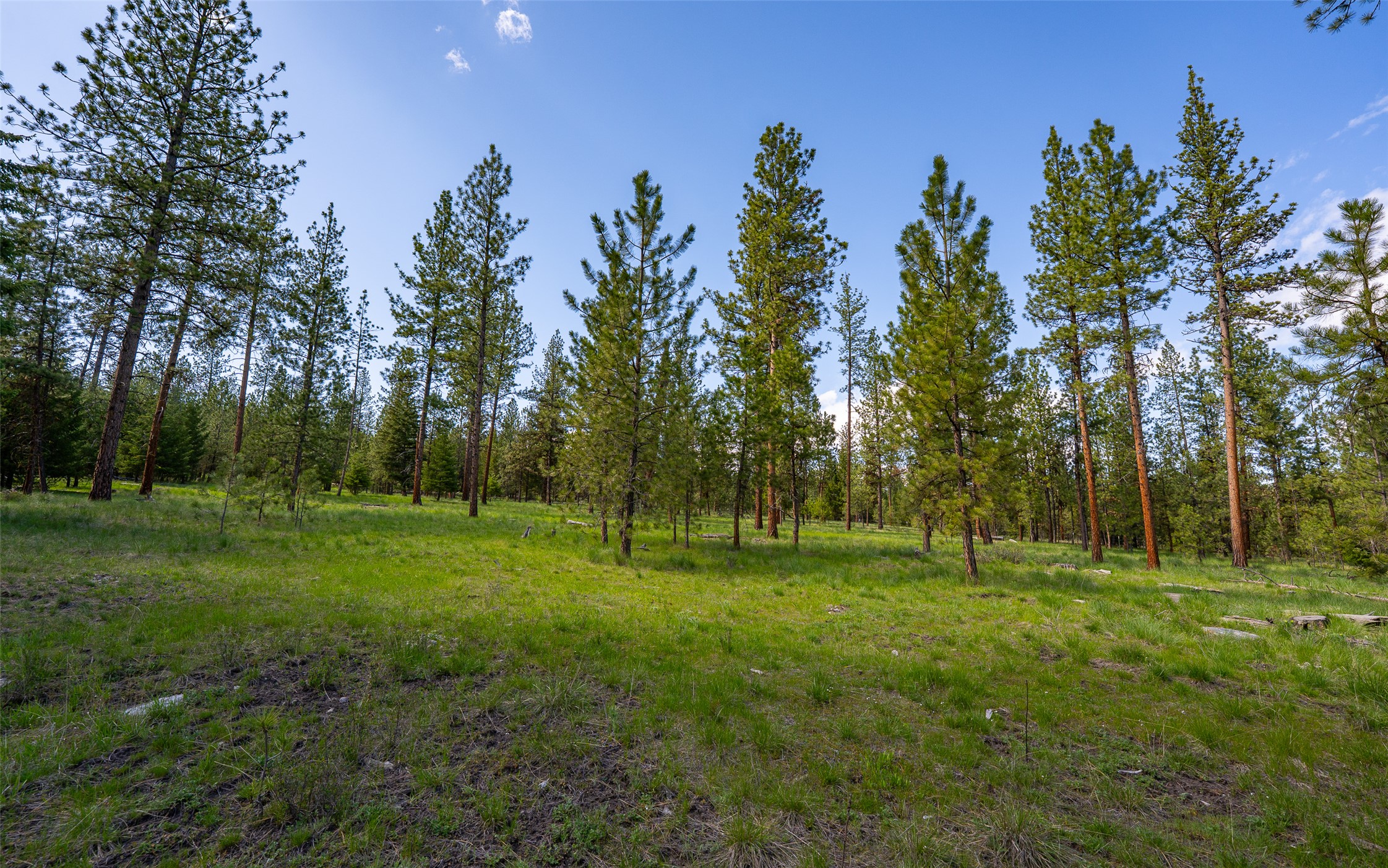 3605 Hubbart Dam Road Property Photo 37