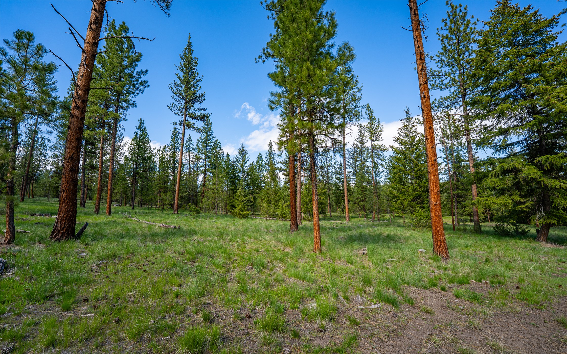 3605 Hubbart Dam Road Property Photo 39
