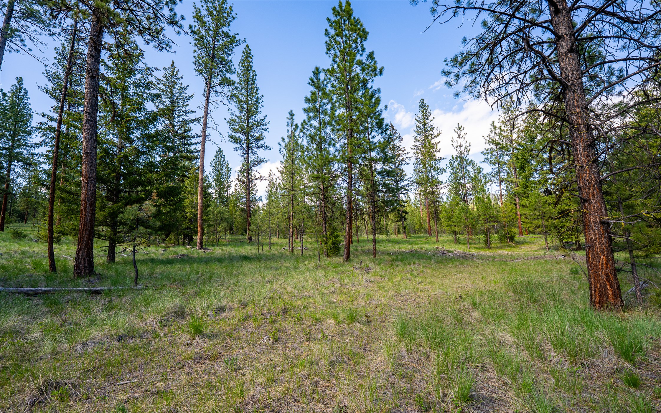 3605 Hubbart Dam Road Property Photo 40