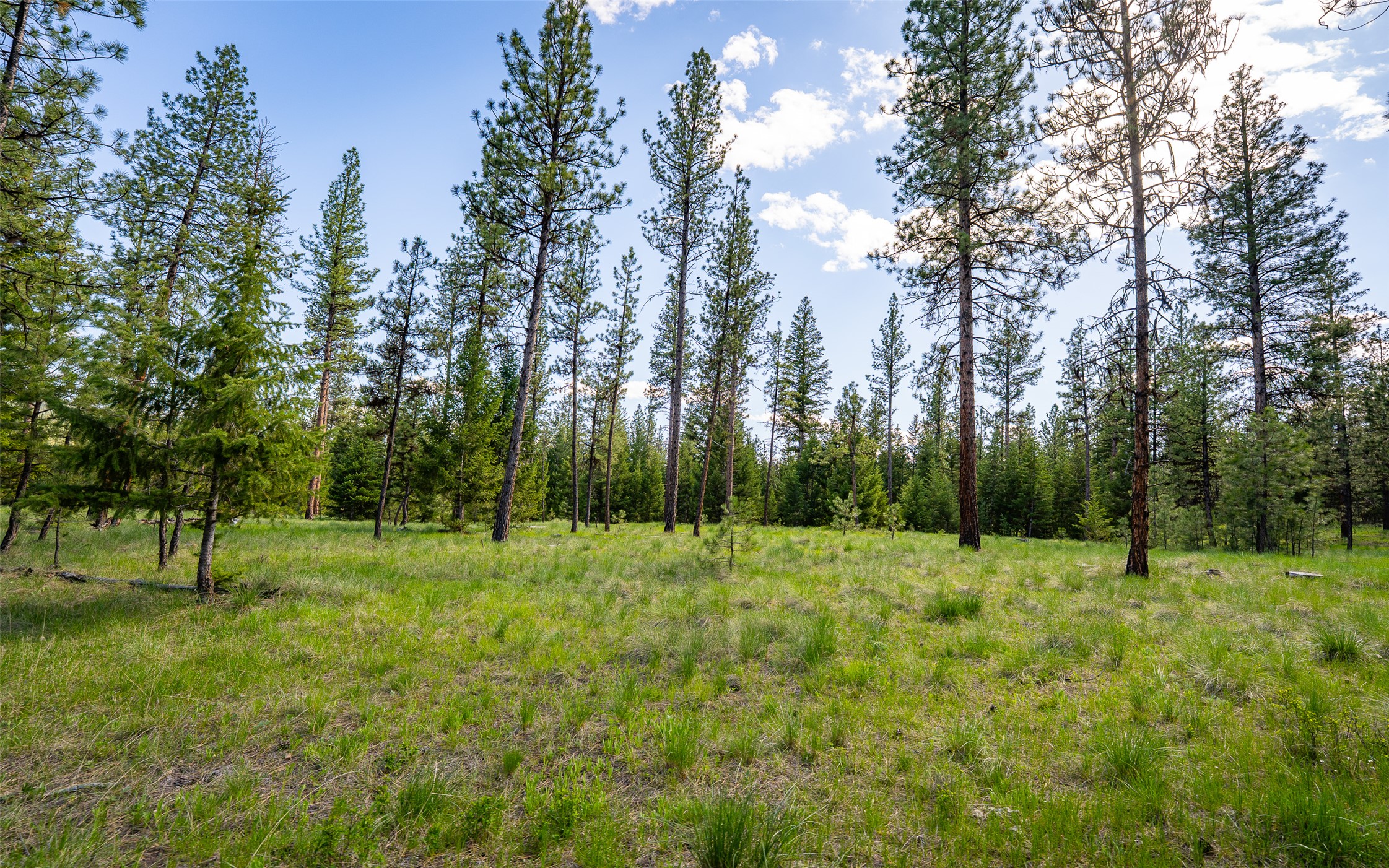 3605 Hubbart Dam Road Property Photo 41