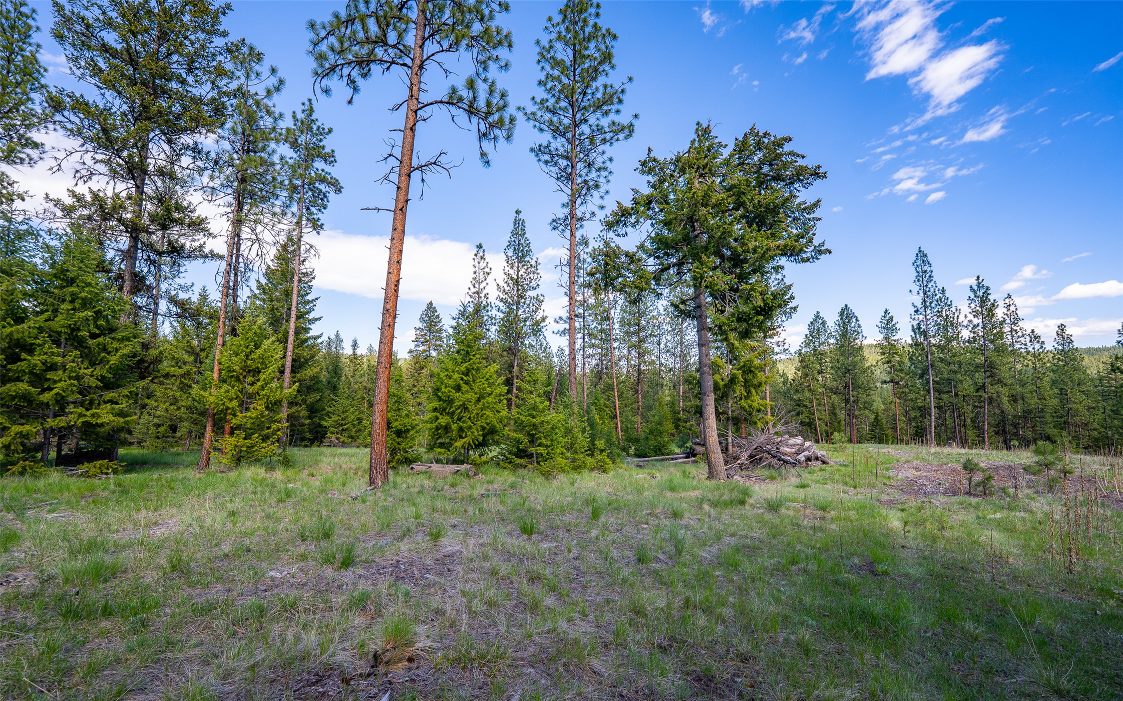 3605 Hubbart Dam Road Property Photo 42