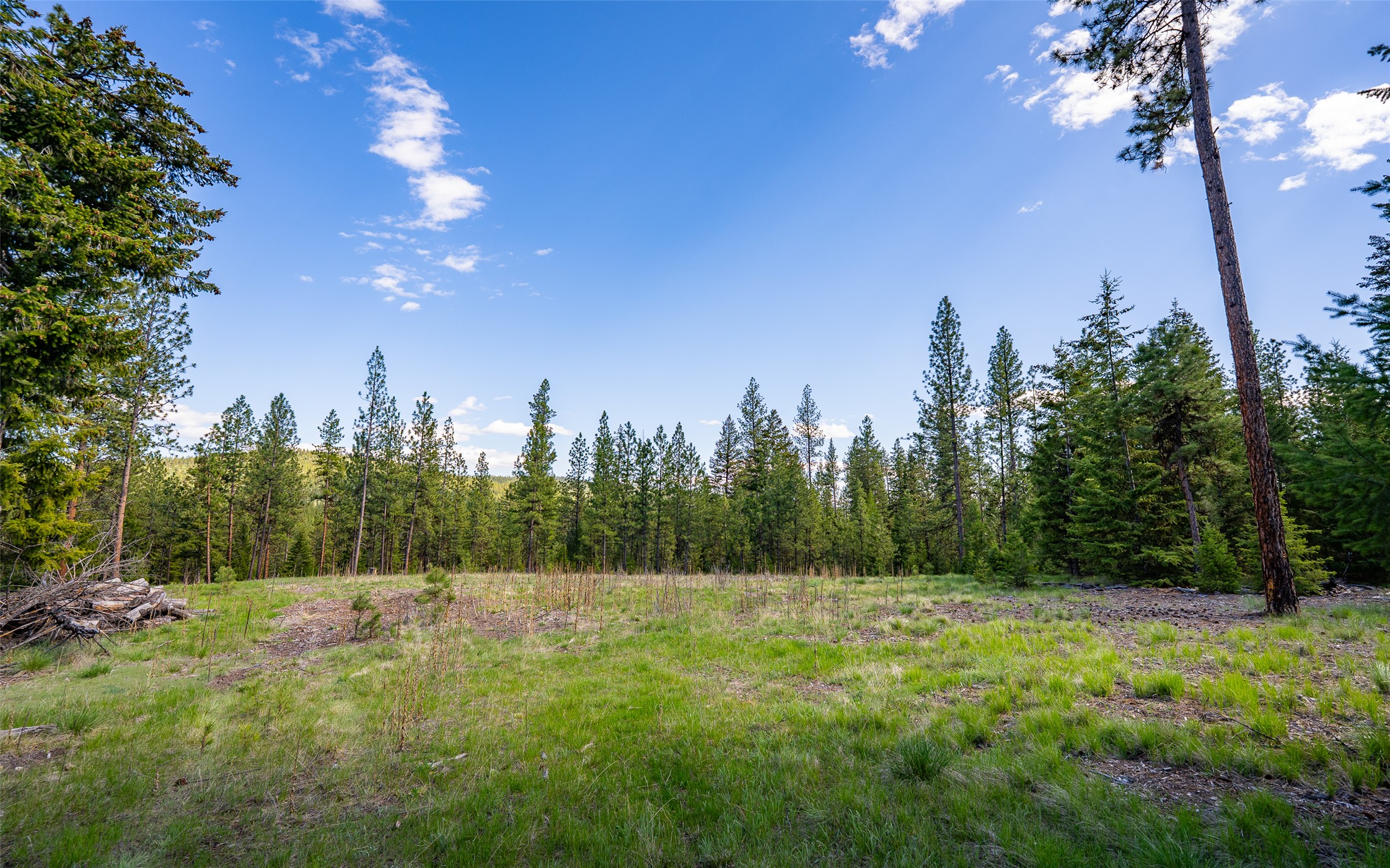 3605 Hubbart Dam Road Property Photo 43