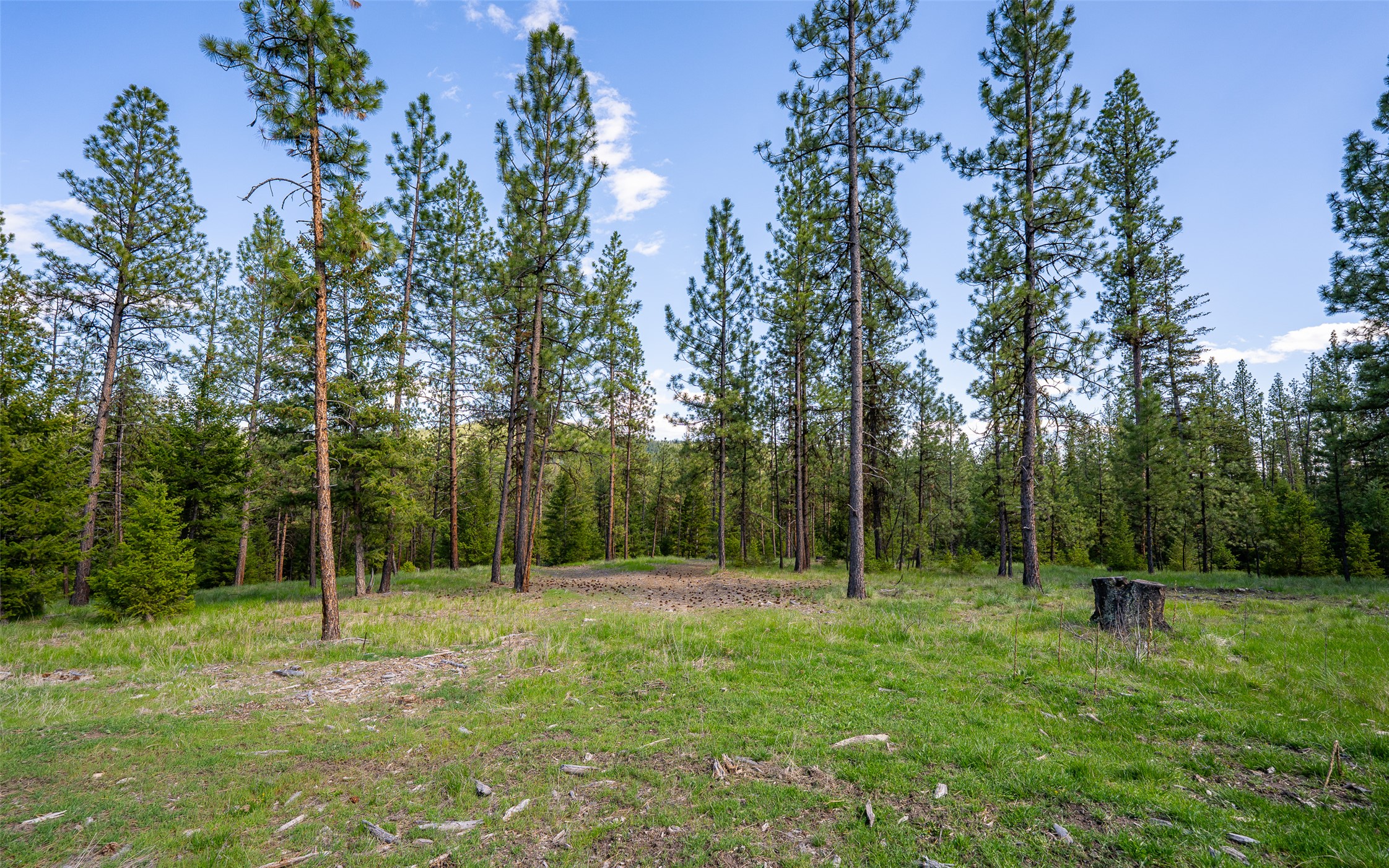 3605 Hubbart Dam Road Property Photo 45