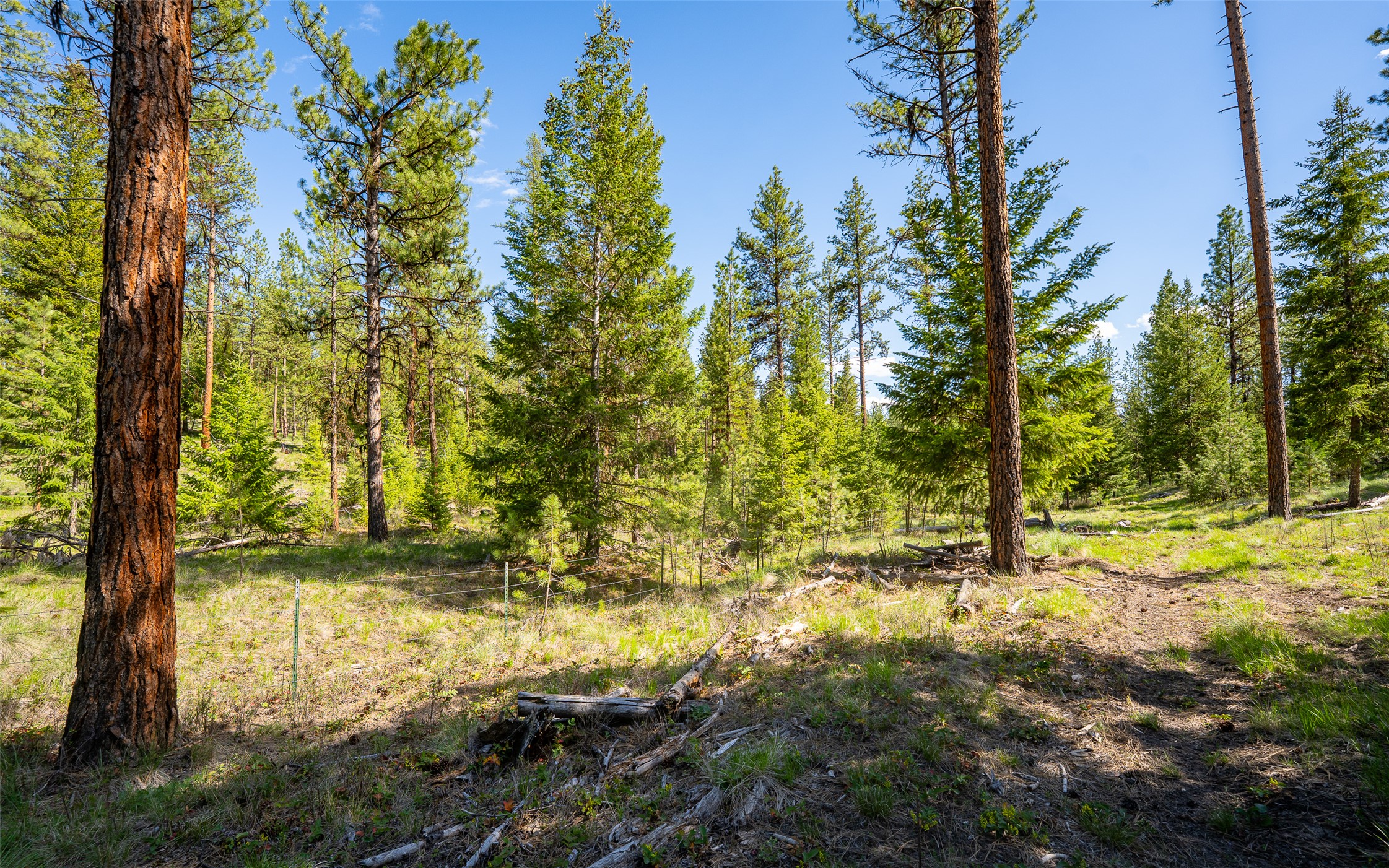 3605 Hubbart Dam Road Property Photo 48
