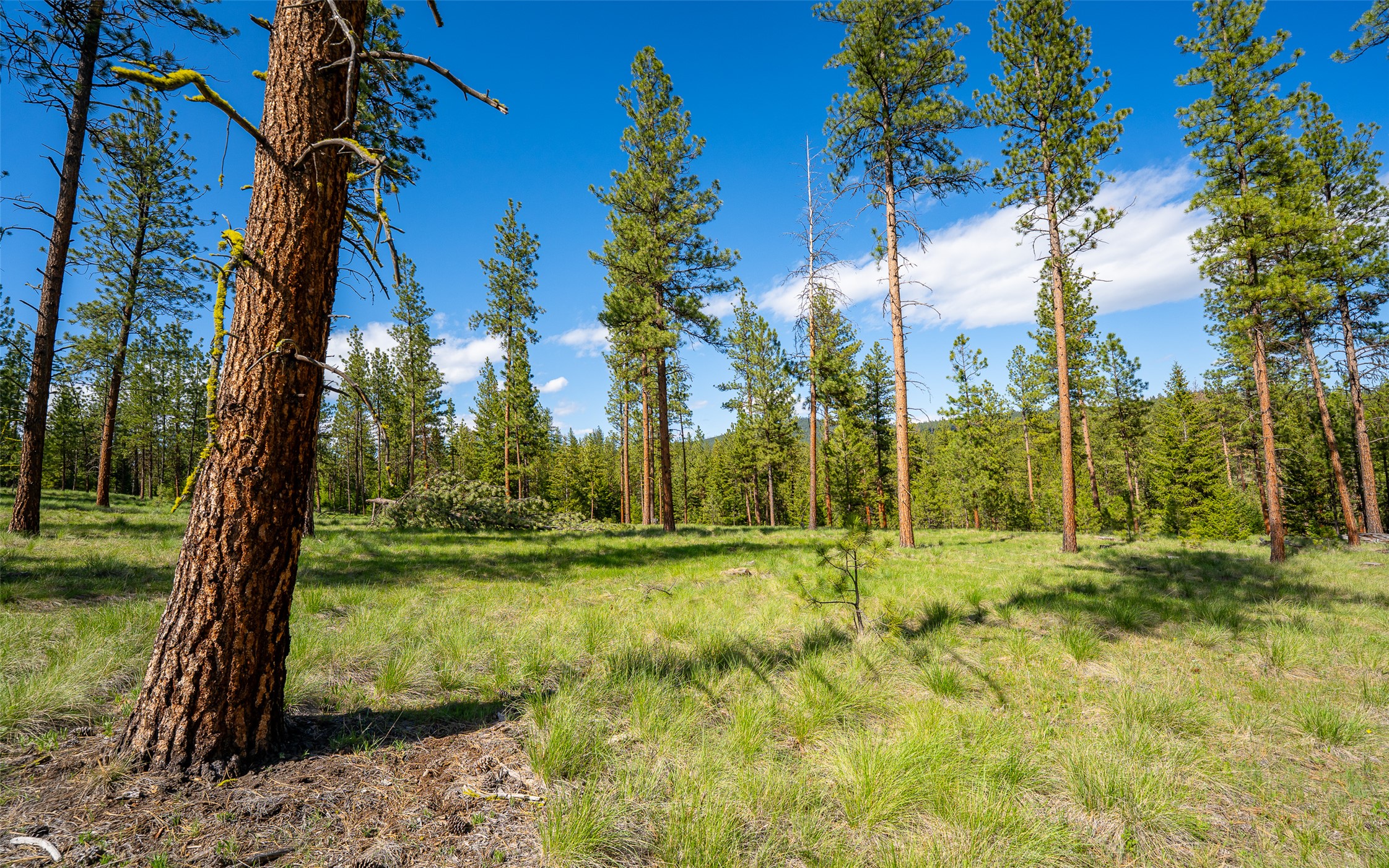 3605 Hubbart Dam Road Property Photo 49