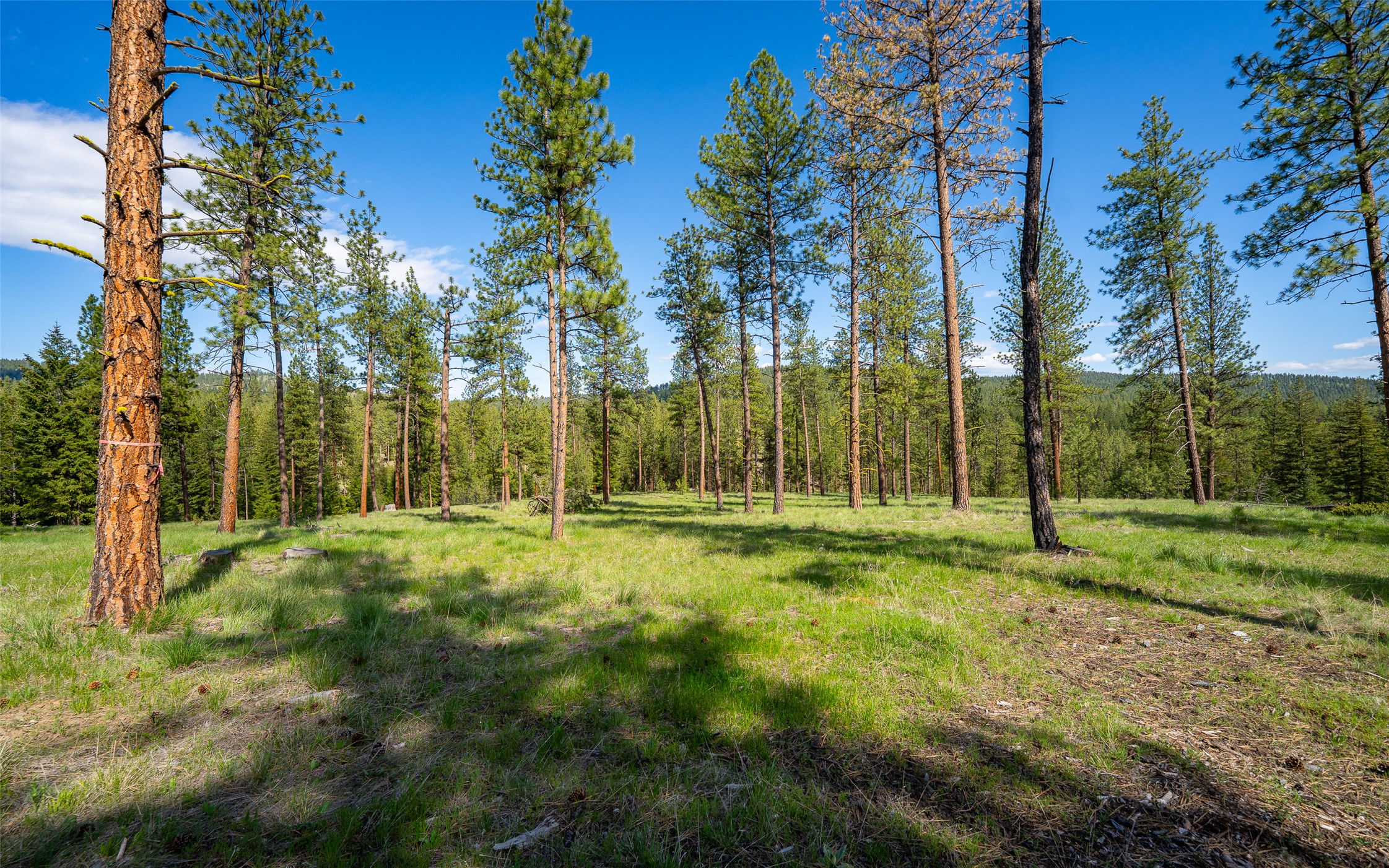 3605 Hubbart Dam Road Property Photo 50