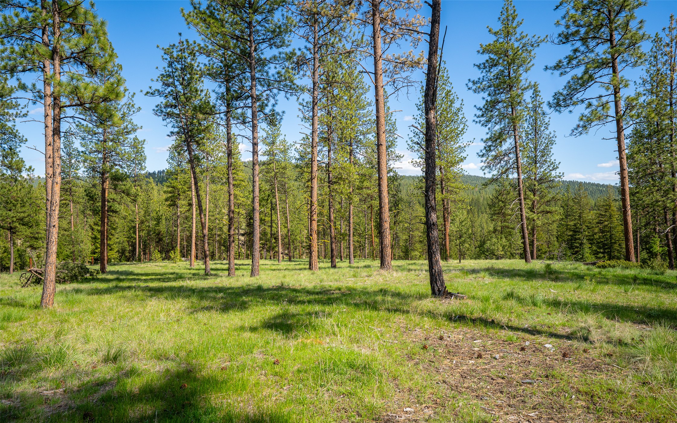 3605 Hubbart Dam Road Property Photo 51