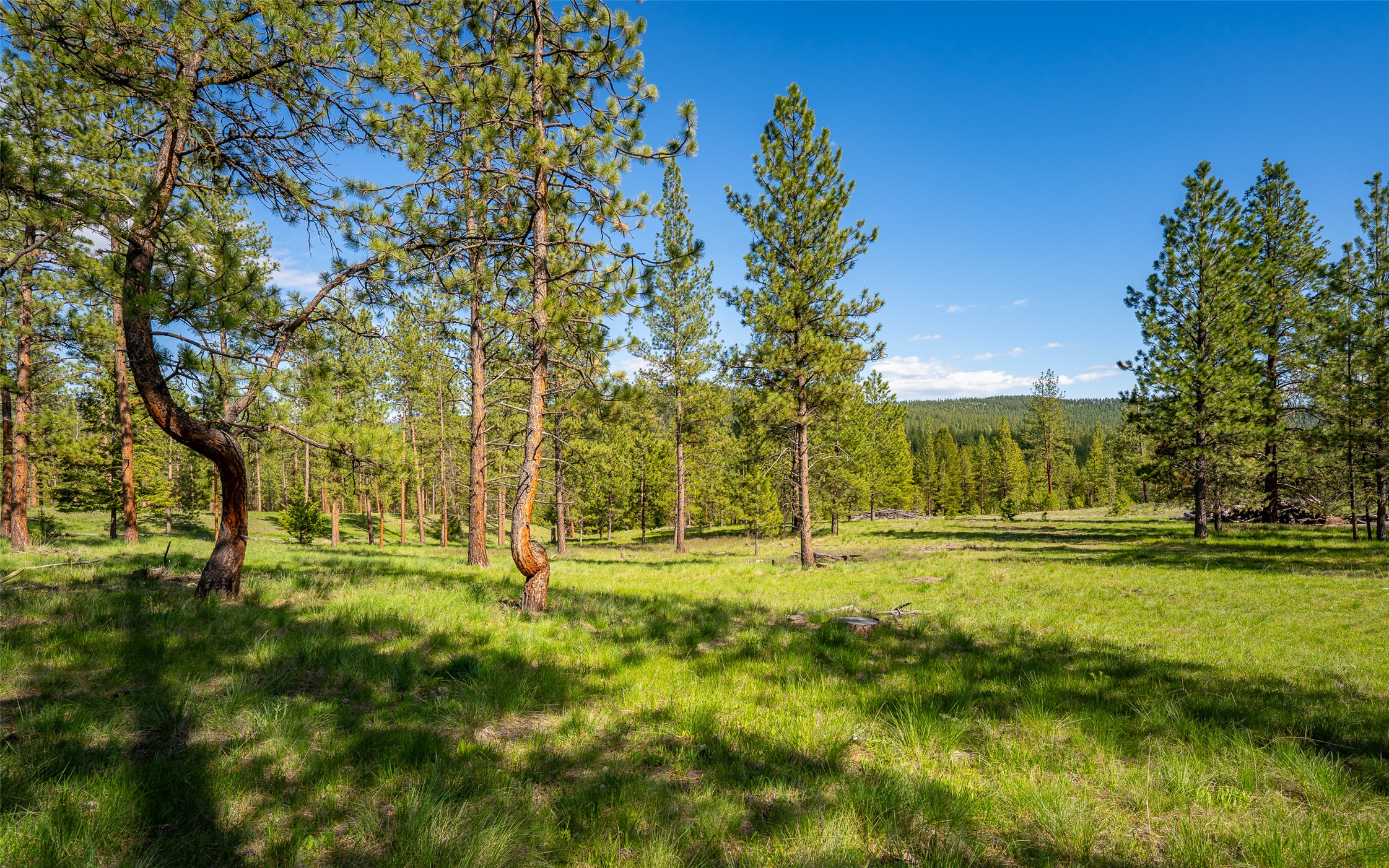 3605 Hubbart Dam Road Property Photo 52